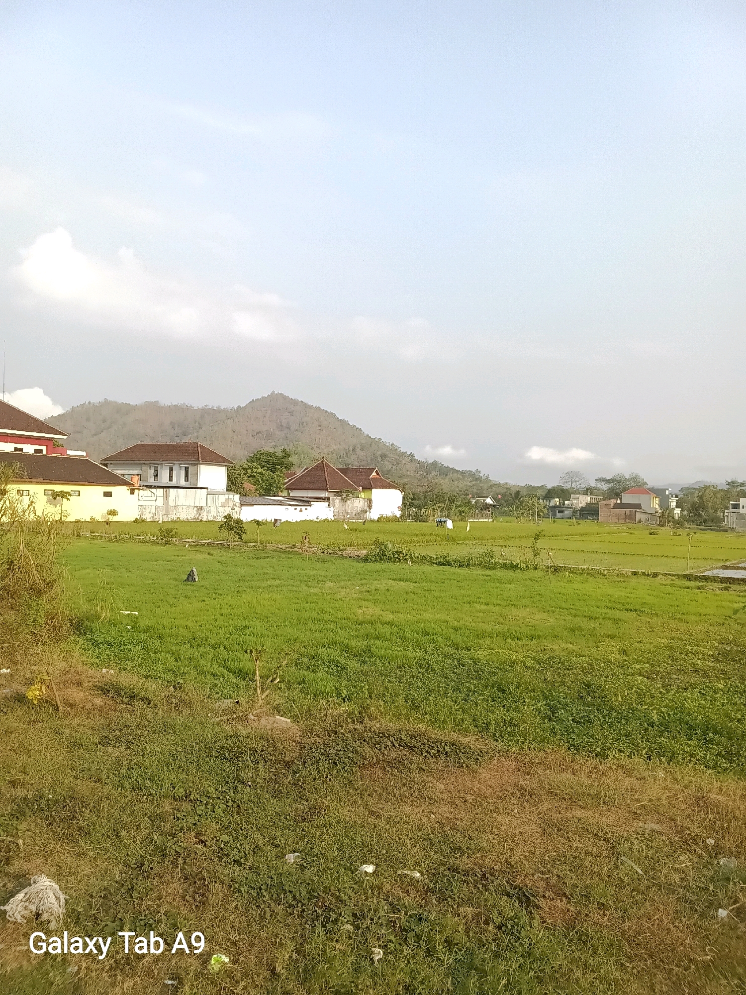 The image captures a rural landscape in Trenggalek, Indonesia, likely during late afternoon or early morning given the soft light and shadows. In the foreground, a field of lush green grass dominates the scene, interspersed with patches of dry, brown vegetation. A small pile of white debris, possibly trash or natural material, is visible on the left side of the foreground. In the midground, a series of buildings with tiled roofs are scattered across the landscape. These appear to be residential homes or small businesses, constructed with white and light-colored walls. Some of these structures have a distinctly Indonesian architectural style, with prominent rooflines. Beyond the buildings, a gently sloping, barren hill rises, its surface textured with dry brush and small trees. The sky above is a pale blue, with scattered, wispy clouds that appear to be illuminated by the sun from behind, suggesting an overcast or hazy condition. The overall impression is one of a tranquil, rural environment characterized by its natural beauty and simple architecture.