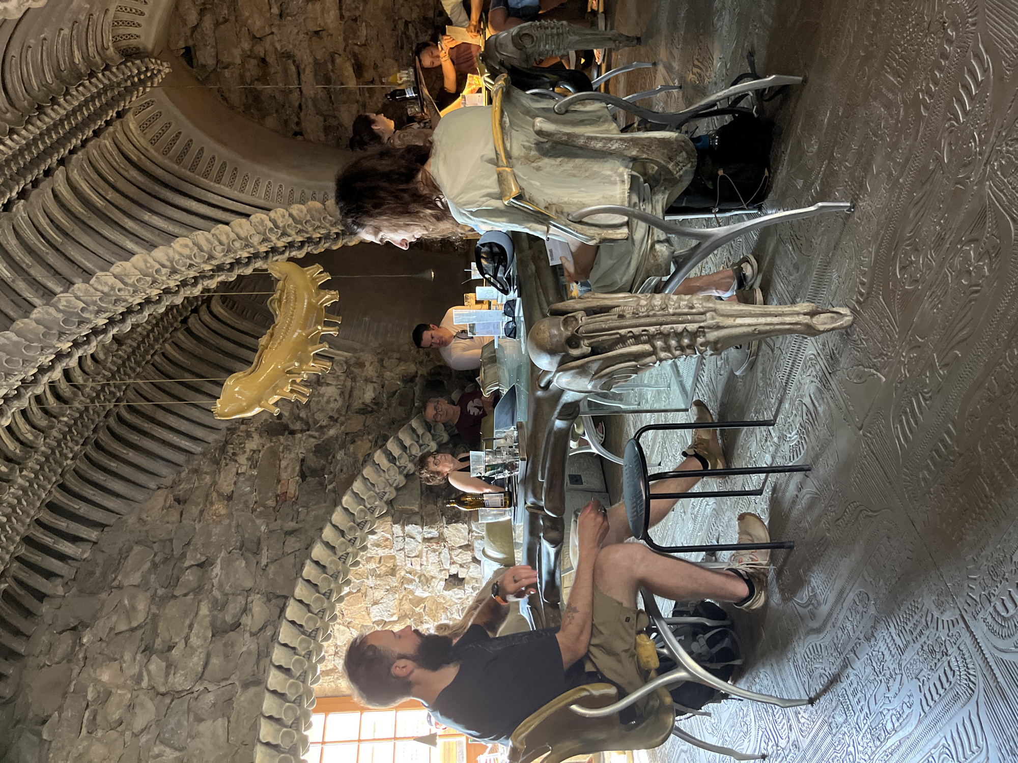 The image depicts the interior of a restaurant with a unique, skeletal-themed decor. The ceiling and architectural elements are adorned with what appear to be large, curved bone-like structures. A golden, stylized chandelier hangs from the ceiling. Several people are seated at a large, unusually shaped table that also appears to be constructed from bone-like materials, with chairs that echo this design.
In the foreground left, a man with a beard, wearing a dark t-shirt and khaki shorts, is seated and looking towards the table. To his right, a woman with short, curly hair and glasses is also seated at the table, holding a drink. Further back, other patrons are visible, including a person serving drinks. The floor is intricately patterned with a grey, embossed design. The overall impression is that of a surreal or themed dining establishment. The location is identified as a restaurant in the city of Epagny, Switzerland.