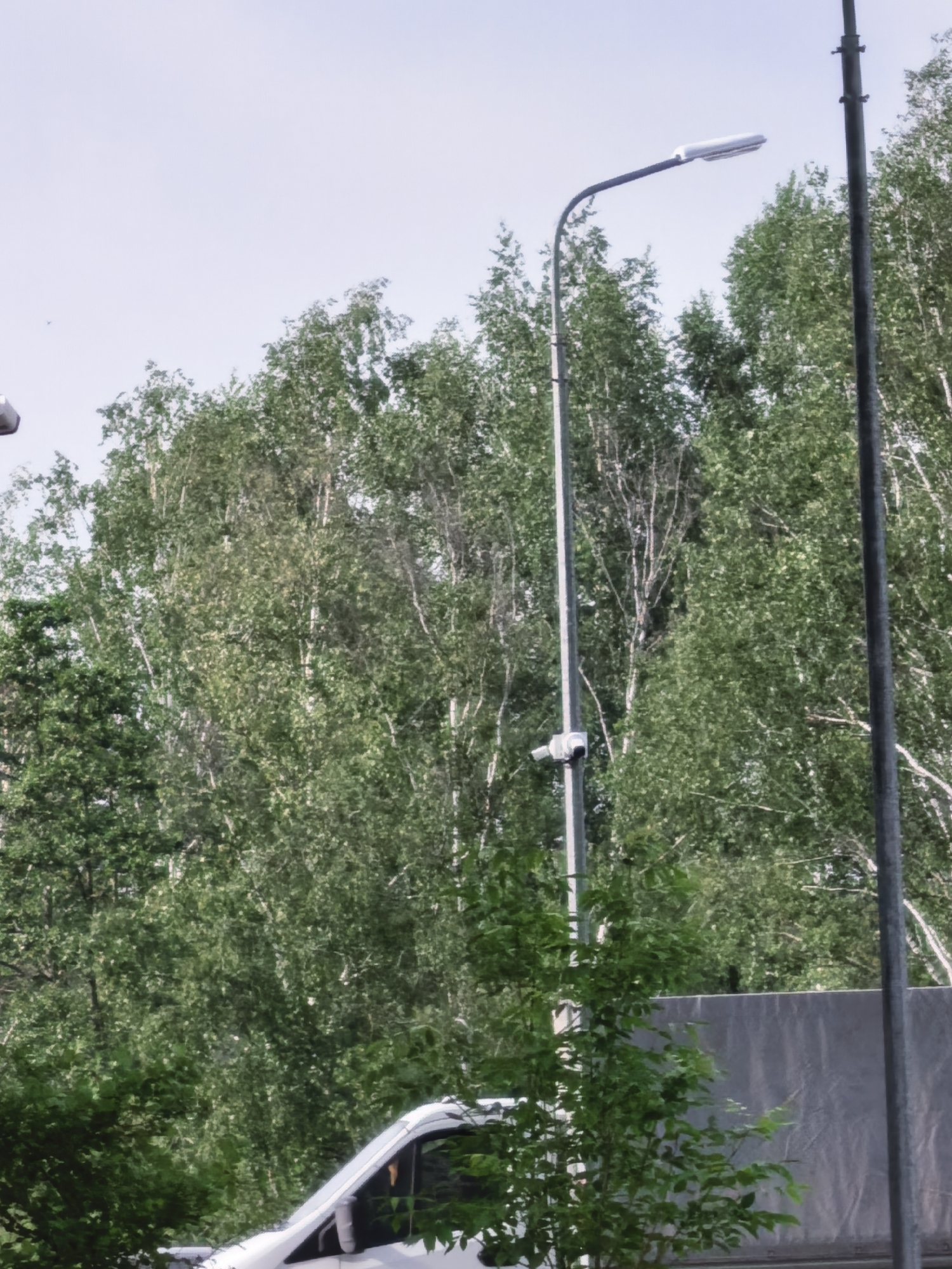 In a city environment, a tall, grey metal pole stands vertically on the right side of the frame, supporting what appears to be overhead wires or some sort of infrastructure. To its left, another, thinner grey pole curves upwards and outwards, topped with a long, rectangular light fixture. A small, grey security camera is mounted on this curved pole, just below the light. In the background, a dense canopy of green trees with white trunks dominates the scene, suggesting a natural or park-like area within the urban landscape. In the foreground, the white roof and side of a vehicle are visible, partially obscured by lush green foliage. The sky above is a pale, hazy blue.