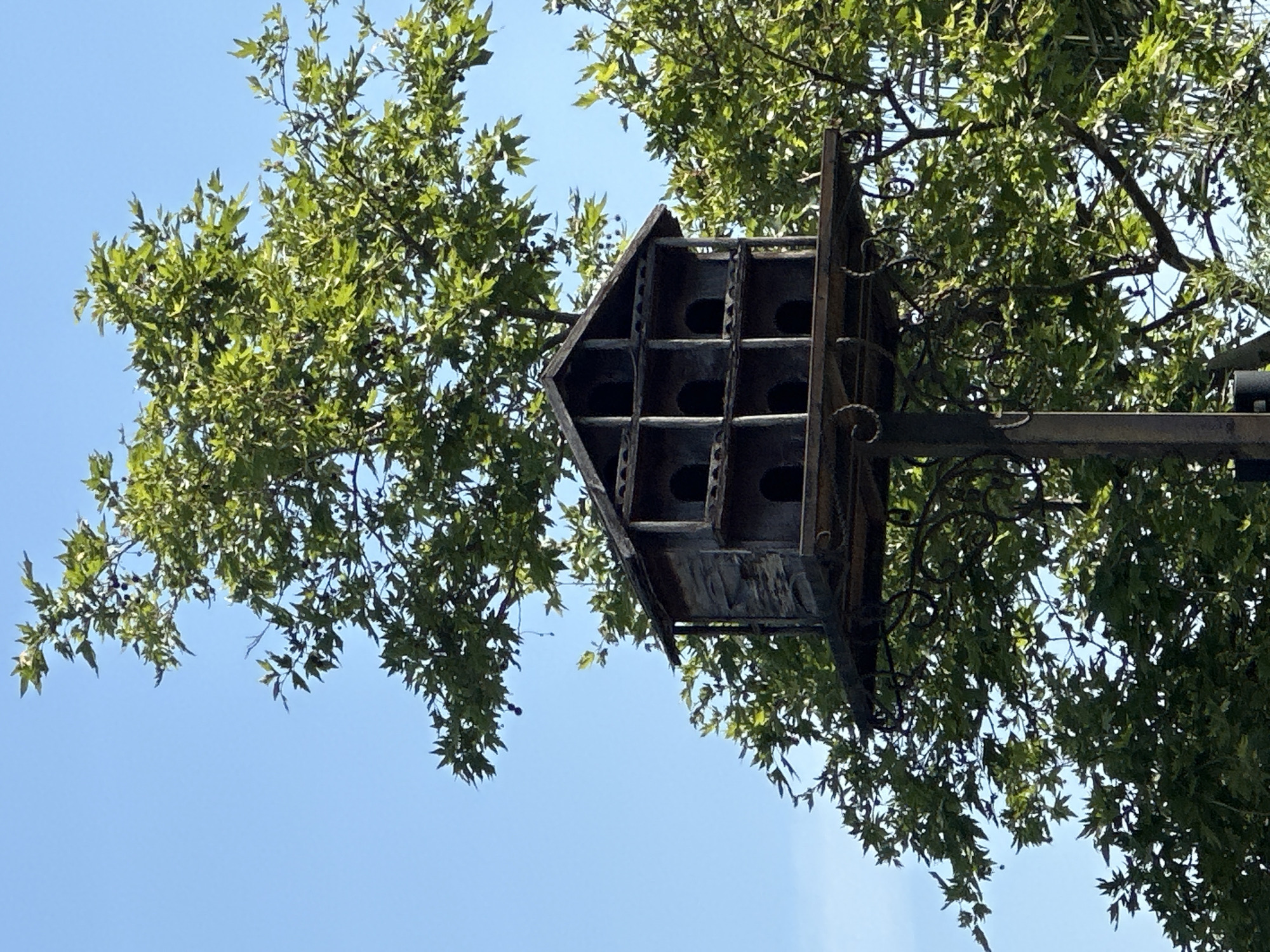 The image captures an upward view of a large, multi-compartment birdhouse or dovecote mounted on a decorative metal pole, set against a bright blue sky and lush green tree foliage. The birdhouse appears to be made of dark wood or metal, featuring a pointed, gabled roof and several square openings arranged in a grid pattern, providing multiple nesting spaces. The supporting pole, partially visible on the right, is dark and has ornate, scrolled metalwork details.
The tree has abundant green leaves, which appear to be lobed, suggesting a species like a maple or sycamore. The leaves are well-lit, indicating bright daylight. The sky is clear and blue, without any clouds, suggesting sunny weather. No specific activity is occurring, as the image presents a static outdoor scene. There is no visible text in the image. The perspective of the photograph is from below, looking up towards the birdhouse and tree against the sky.