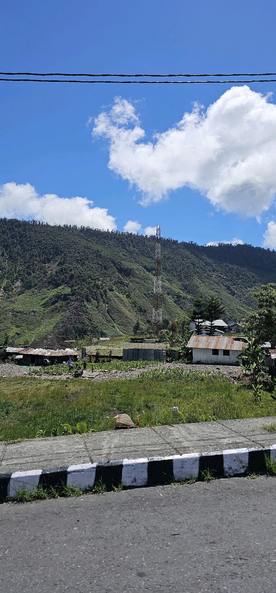 This is a full-frame, vertical shot of a rural landscape in Puncak Jaya, Indonesia, under a bright blue sky dotted with white cumulus clouds. In the foreground, a paved road runs across the bottom of the frame, bordered by a concrete curb painted with alternating black and white stripes. Beyond the curb, a strip of green grass leads to a rocky, uneven terrain.
Further back, a small village is nestled amongst fields of green crops, likely corn, and scattered stones. Several rustic structures are visible, including a building with a thatched roof and another with a corrugated metal roof, suggesting a simple, rural way of life. A tall, lattice telecommunications tower stands prominently in the middle ground, its white and reddish-brown sections contrasting with the lush green hillside.
The hillside itself is steep and covered in dense vegetation, with visible terraced farming evident on some slopes, indicating agricultural activity. Trees are scattered across the landscape, some clustered around the buildings and others lining the crest of the hill. A few people are present in the village area, engaged in unknown activities, and their presence is minor in the overall scene. The image captures a blend of natural beauty and human habitation in a mountainous region.