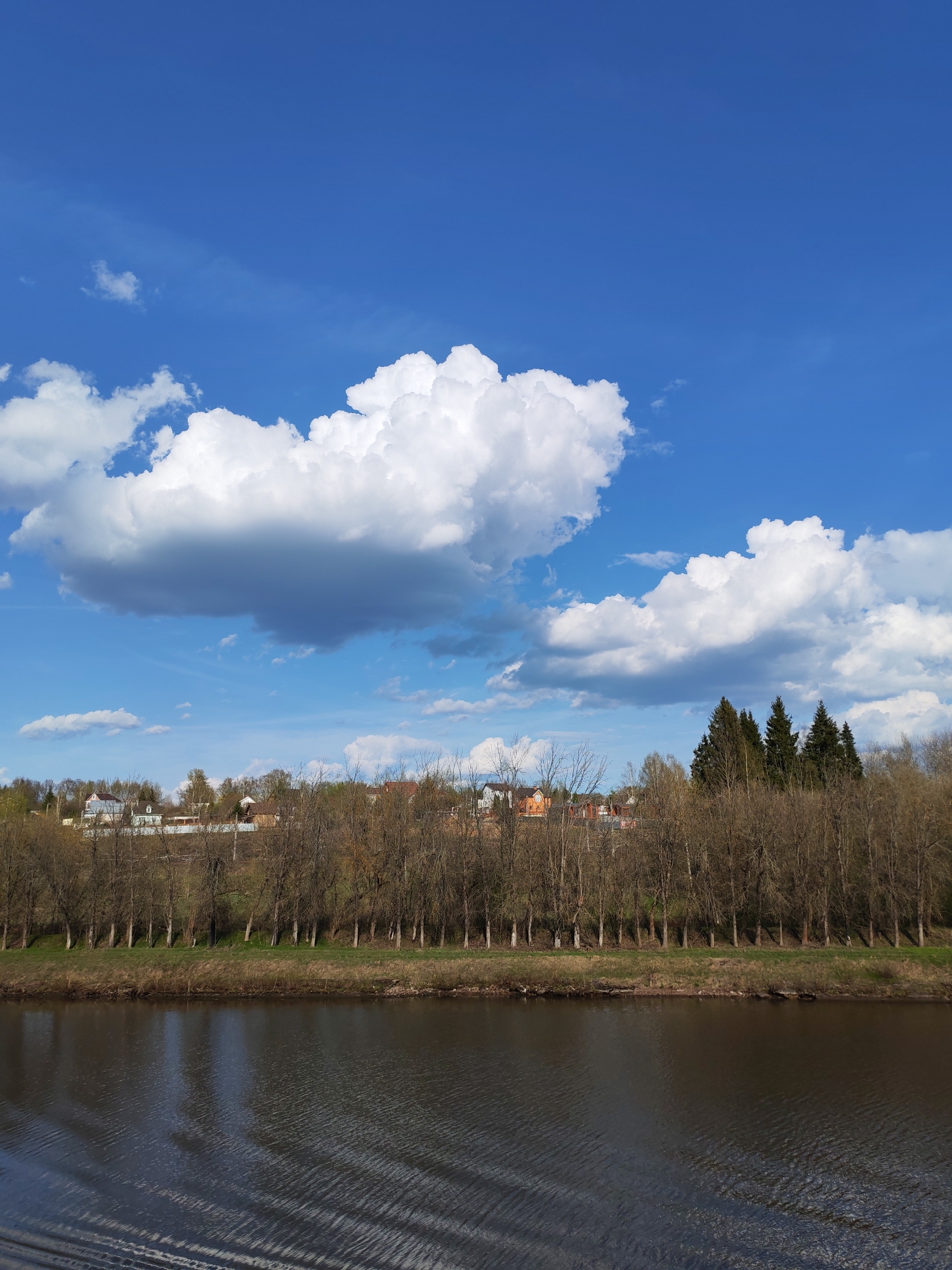The image depicts a landscape in Yakhroma, Russia, featuring a body of water (possibly the Yakhroma River) in the foreground. The water is dark with visible ripples. A line of bare deciduous trees lines the bank on the opposite side. Behind the trees are buildings, suggesting a residential area. In the background, a bright blue sky is punctuated by large, white cumulus clouds. The weather appears clear and sunny.