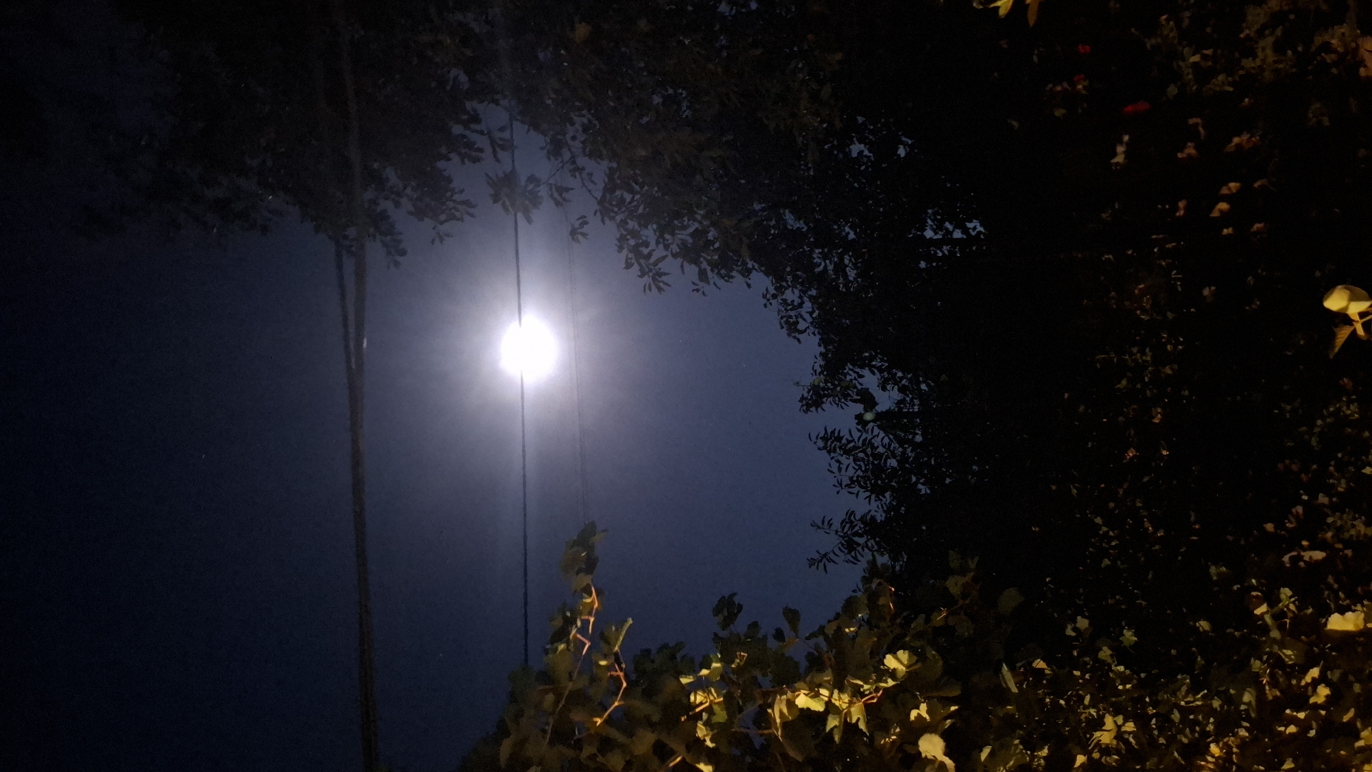 This is a nighttime photograph taken outdoors. The scene is dominated by a dark blue sky with a bright, diffused light source in the upper center, likely the moon. Two dark, silhouetted wires cross horizontally across the frame, one slightly above the other, obscuring a small portion of the sky. The foreground and edges of the image are filled with the dark silhouettes of trees and foliage. On the left side, some leaves are illuminated by an unseen light source, appearing yellowish-green. The overall impression is one of a natural setting at night, possibly a residential area, given the presence of the wires, with a prominent celestial body in the sky. The location provided is Шұбарсу, Kazakhstan, suggesting this is an outdoor scene within or near that locale. There are no people or specific identifiable structures visible in the image.