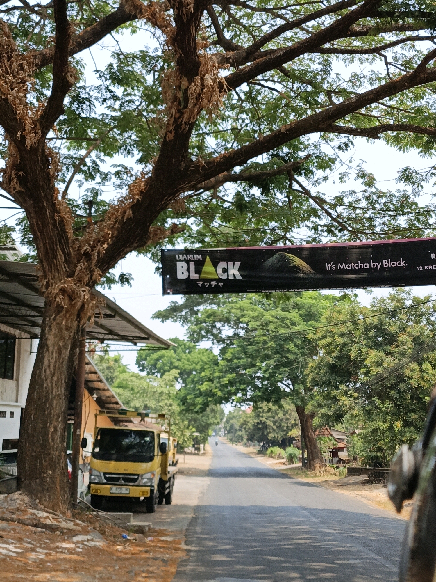 A yellow truck is parked on the side of a road in Cikal, Indonesia. The truck is a Mitsubishi Fuso and has a license plate that reads "B 8731 BZF". A large tree with brown leaves stands to the left of the truck, and a banner hangs from its branches. The banner reads "DIARUM BLACK" and "It's Matcha by Black.". The road is paved and appears to be in a rural area, with trees and houses visible on either side. The sky is a clear blue, and the sun is shining.