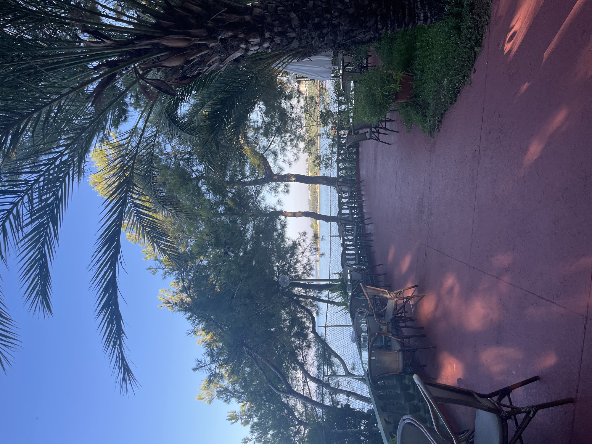 The image depicts an outdoor seating area of a restaurant or cafe with a view of the sea. The foreground features a reddish-purple paved patio with several tables and chairs. The chairs are made of wicker with fabric upholstery. Sunlight casts dappled shadows on the patio floor, suggesting it is late afternoon or early morning.
To the left, a low green railing separates the patio from a sloped area with trees and a wire fence. Beyond the fence is a body of water, likely the sea, with distant landmasses visible on the horizon. Trees, including palm trees with their fronds reaching into the frame, and other leafy trees, are scattered throughout the scene. The sky is a clear, bright blue.
In the background, on the patio, there are more tables and chairs, some with white umbrellas. Potted plants are visible near the edge of the patio. The overall impression is of a serene, relaxed outdoor dining or lounging space with a scenic view. The specific location in Alanya, Turkey, is not explicitly indicated within the image itself, but the context of palm trees and a coastal view is consistent with the city's geography.