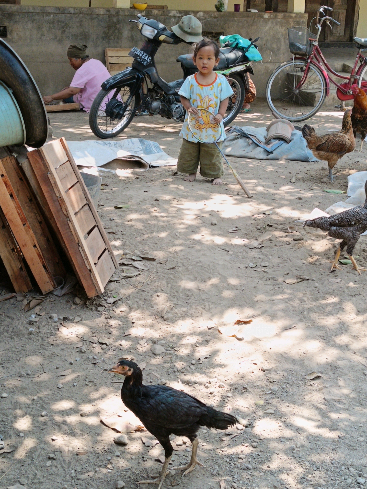 In Sukorini, Indonesia, a young child stands barefoot on a dirt ground holding a badminton racket. The child wears a light blue t-shirt with a banana print and olive green shorts. To the left, a woman in a pink shirt and headscarf kneels beside a pile of wooden planks. A black motorcycle is parked behind the child. A red bicycle stands further back. Two chickens are visible: one brown and speckled chicken stands near the bicycle, and a black chicken stands in the foreground. The environment appears to be an outdoor area with a concrete wall in the background and scattered leaves on the ground.