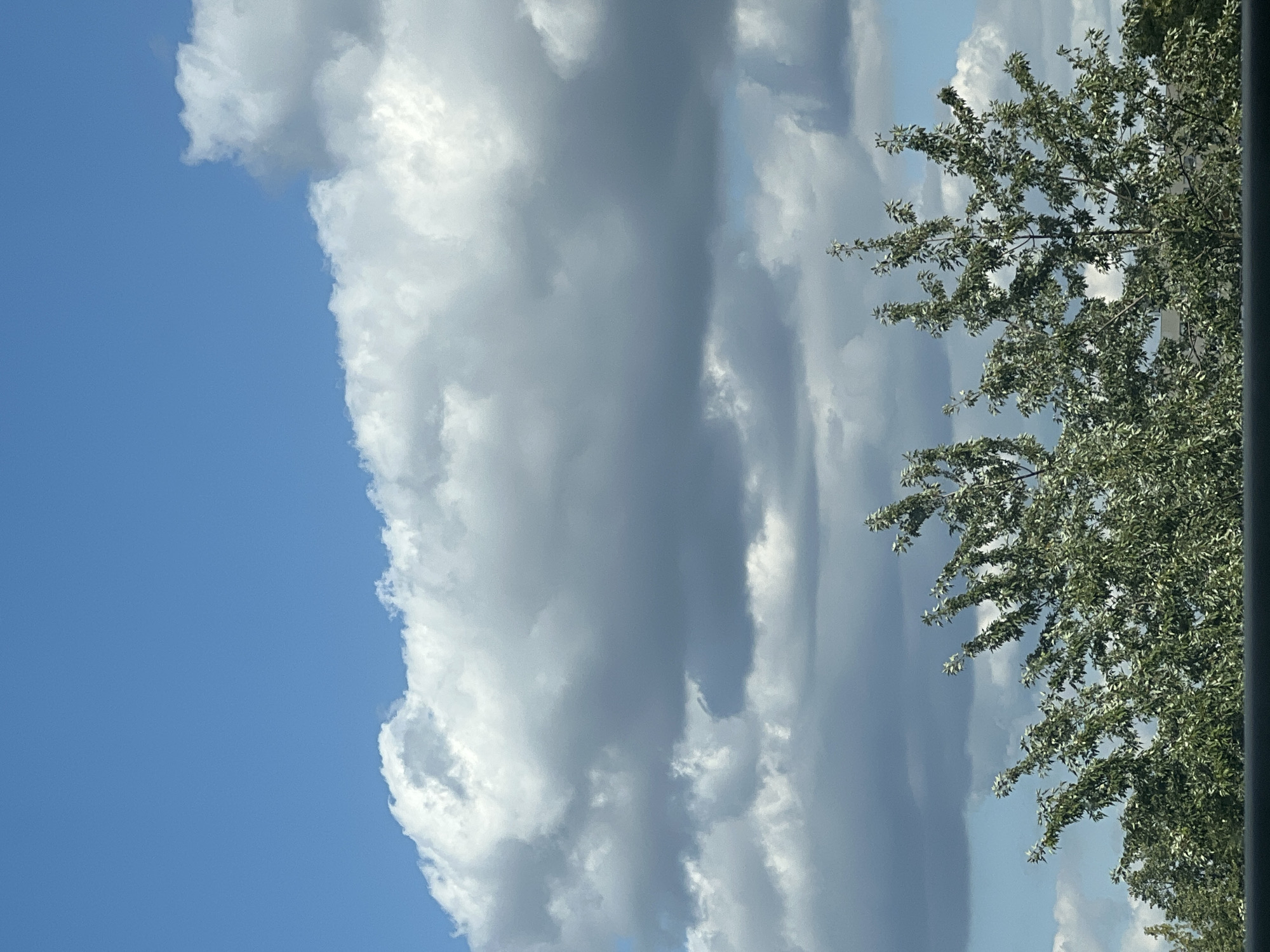 The image shows a view of a blue sky filled with large, fluffy white and grey clouds. The top portion of the frame is dominated by the sky and clouds. Below the clouds, the branches and green leaves of trees are visible, extending upwards from the bottom of the frame. The trees are in focus, with their foliage creating a dense, leafy canopy. The overall scene appears to be an outdoor environment, possibly a park or a residential area with trees. There are no people or specific landmarks visible that would indicate a precise location within Warsaw, Poland. The lighting suggests it is daytime, with the sun partially obscured by the clouds, creating a diffused light.