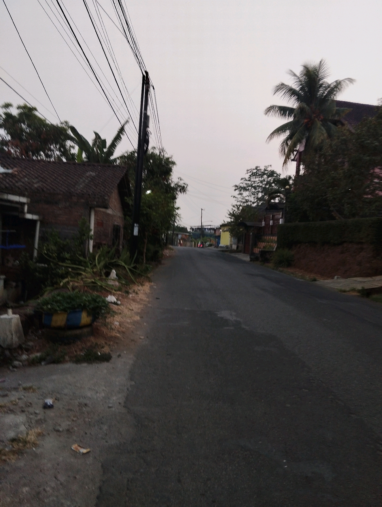 The image depicts a street scene in Salatiga, Indonesia. In the foreground, a paved road runs into the distance, with a dirt shoulder on the left. Several electrical wires are strung across the sky. On the left side of the road, there is a small brick building with a tiled roof, partially overgrown with plants. A large planter with blue and yellow stripes is visible near the building. Further down the street, more buildings and trees can be seen. A prominent coconut palm tree stands on the right side of the road, with lush greenery surrounding it. The sky is overcast, suggesting it is either early morning or late afternoon. No people are visible in the frame.