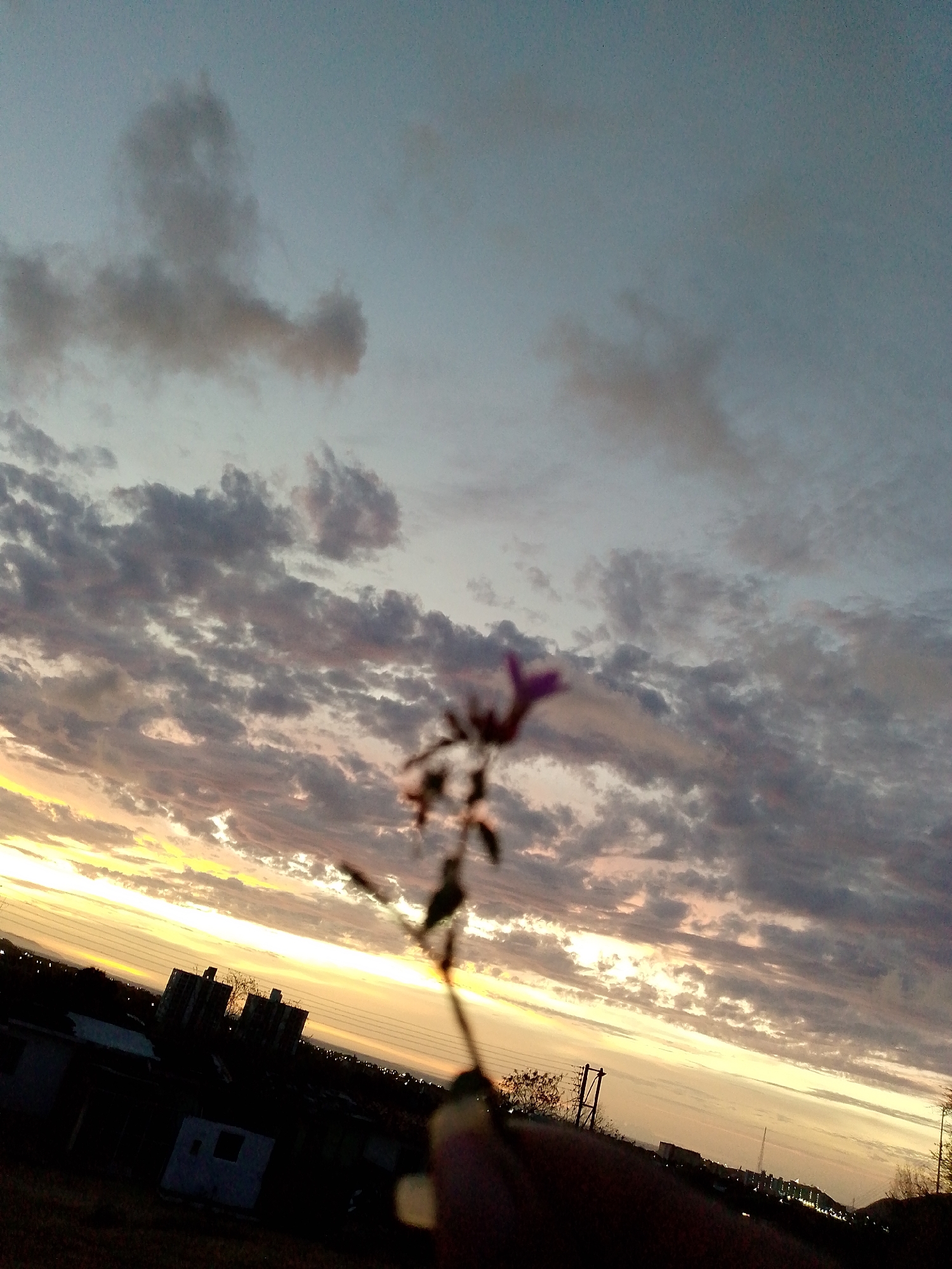 The image captures a sunset over what appears to be the city of Juan Griego, Venezuela. A small flower or plant stem with a blurred pink flower is held in the foreground. In the background, buildings are silhouetted against the setting sun and the horizon. The sky is filled with clouds illuminated by the sunset, creating a mixture of orange, pink, and grey hues.
