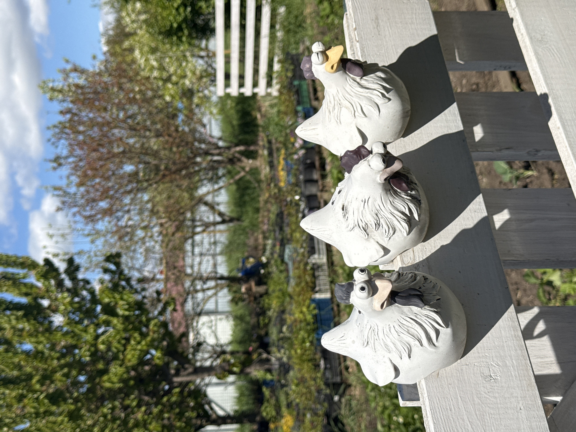 Three whimsical, white ceramic chicken figures are prominently displayed in a sunlit outdoor garden scene, likely in Pervorechenskoye, Russia. The figures are positioned on a white, weathered wooden railing or fence top, casting distinct shadows to their left, indicating bright daylight. Each chicken has a cartoonish appearance with round eyes, a yellow/beige beak, and dark grey/purple accents for its comb and wattle. Their bodies are textured to resemble feathers.
In the background, a vibrant and somewhat blurred landscape unfolds, featuring various trees and lush greenery. Some trees appear to be deciduous, with a mix of green and reddish-brown foliage, suggesting a spring or early summer setting. A white picket fence is visible further back, adding to the garden aesthetic. The sky above is clear and blue, dotted with soft white clouds. The overall impression is one of a peaceful and decorative garden space. There is no visible text.