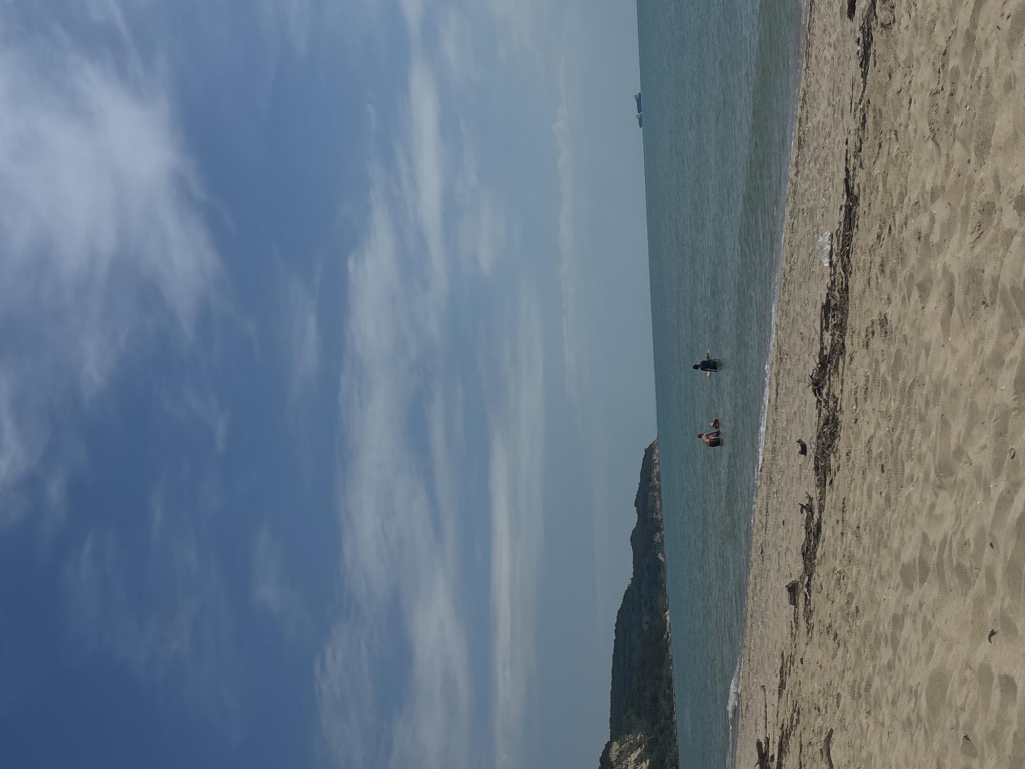 A wide-angle, eye-level shot captures a serene beach scene on a clear day. The foreground is dominated by a sandy beach littered with driftwood and debris. The mid-ground features the calm, turquoise sea with gentle waves lapping the shore. In the water, two groups of people are visible. To the left, two adults and a child are wading, and to the right, a lone individual stands in the water. In the far distance, two ships are sailing on the horizon under a partly cloudy sky. The background showcases a lush, green hillside that meets the sea. This scene is representative of the beach in Bliznatsi, Bulgaria.