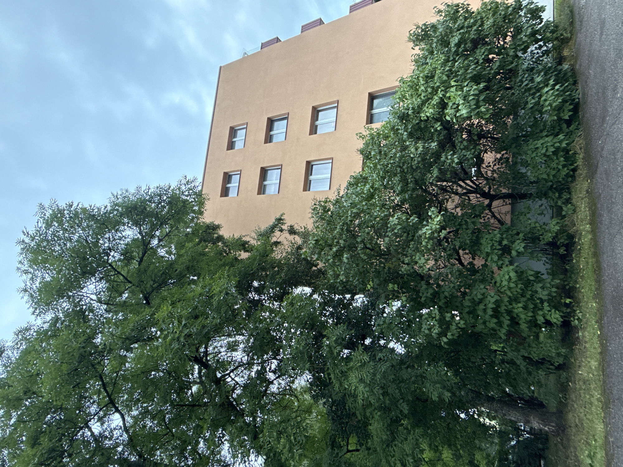 The image captures a view of a modern apartment building with a peach-colored facade, partially obscured by lush green trees. The building appears to be several stories high, with multiple windows visible on its side. The sky above is overcast and cloudy. The trees are dense and leafy, creating a natural foreground that contrasts with the urban architecture. A paved surface, possibly a sidewalk or road, is visible at the bottom of the frame, and there's a patch of grass to the left of the trees. The scene suggests an outdoor setting in an urban environment, likely residential. Without further information, it's impossible to determine the specific location within Tallinn, Estonia.