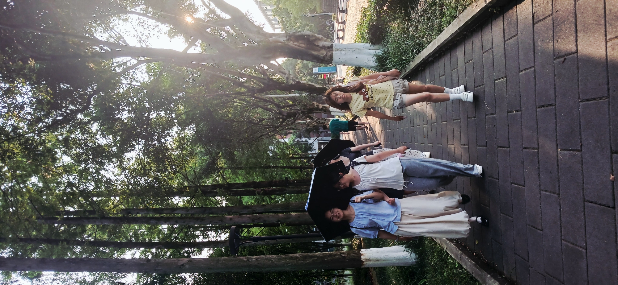 On a brick-paved path lined with trees in Chongqing High-tech Zone, China, three girls walk. One girl holds a black umbrella. The environment is urban. The lighting is bright, casting shadows on the path.