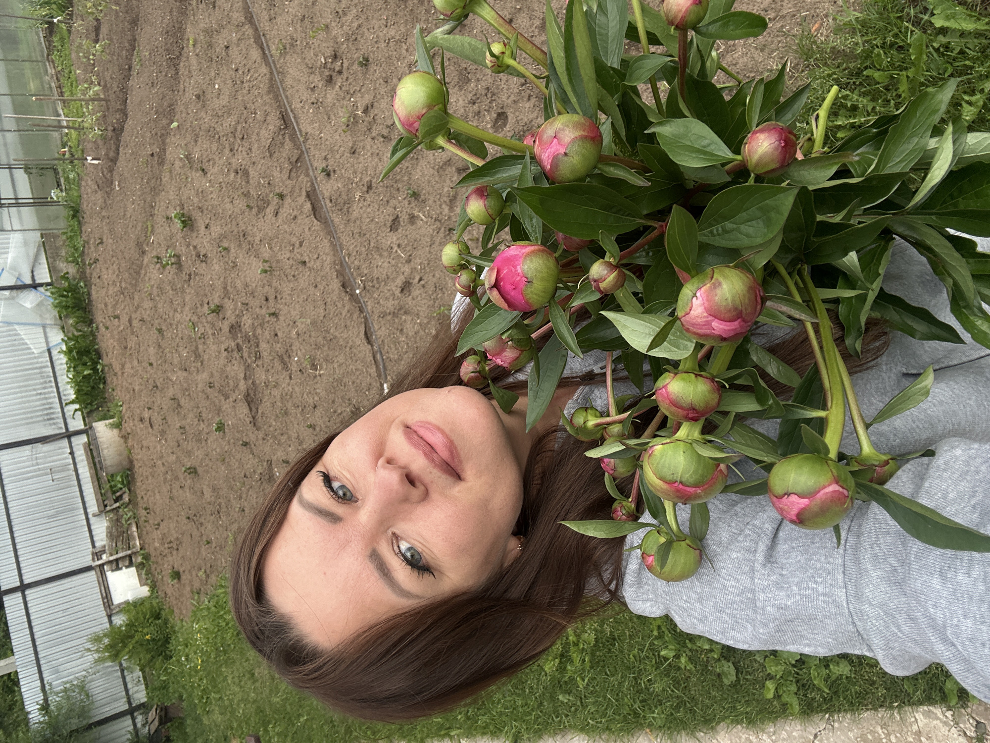 The image captures an adult female holding a large bouquet of peony buds in an outdoor setting in the city of Chaikovsky, Russia. The woman, positioned in a high-angle selfie perspective, has medium-length brown hair, blue-green eyes, and is looking directly at the camera with a subtle smile. She is wearing a grey hooded sweatshirt.
She holds a substantial bunch of peony flower buds, which are mostly green with prominent bright pink coloring at their tips, indicating they are on the verge of blooming. The stems are thick, and the bouquet includes numerous large, dark green peony leaves.
The background consists of a garden or cultivated plot of land. To the left, there is a strip of green grass alongside a concrete border. The dominant portion of the background to the right is a large, tilled area of brown soil with scattered small green shoots, suggesting recent planting. A black irrigation hose runs across this tilled ground. In the far background, from left to right, a corrugated metal fence is visible, followed by some sparse greenery, a small conical evergreen shrub, various pieces of wood and debris, and a concrete ring structure. Further to the right, a greenhouse with translucent panels and internal plant stakes can be seen, bordering more cultivated land. The scene is illuminated by natural daylight.