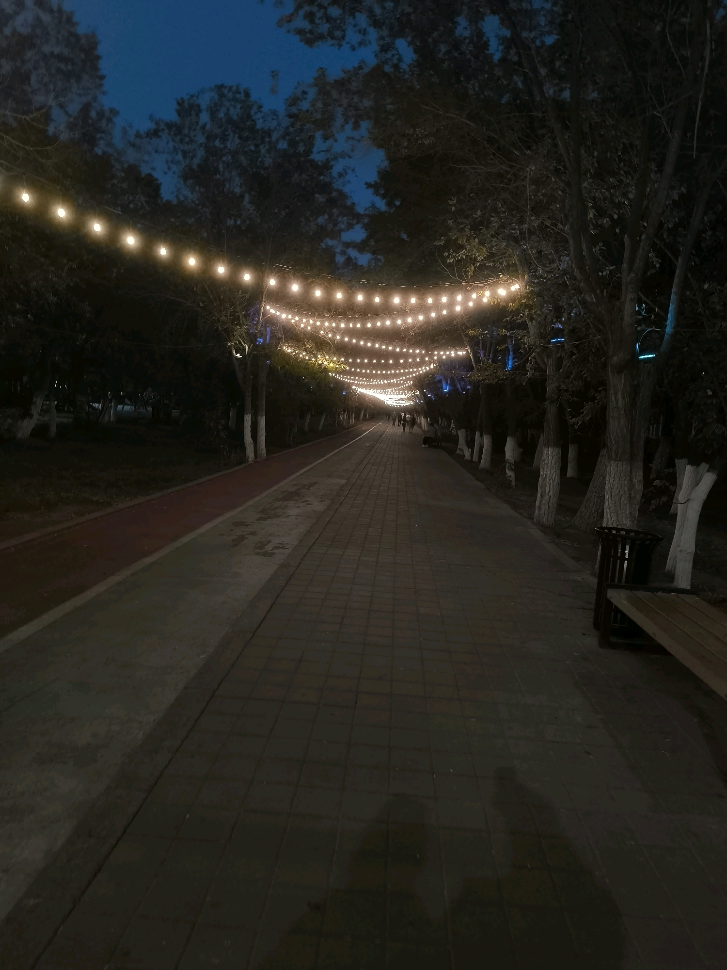 This is a vertical, eye-level, medium shot of a park pathway at dusk in Jezqazğan, Kazakhstan. The pathway is paved with dark rectangular tiles and is bordered on the left by a red running track, and on the right by a grassy area with trees. String lights are hung overhead, illuminating the pathway and trees. Several people are walking in the distance. On the right side of the pathway, there is a trash can and a wooden bench. The sky is a deep blue, indicating nighttime.