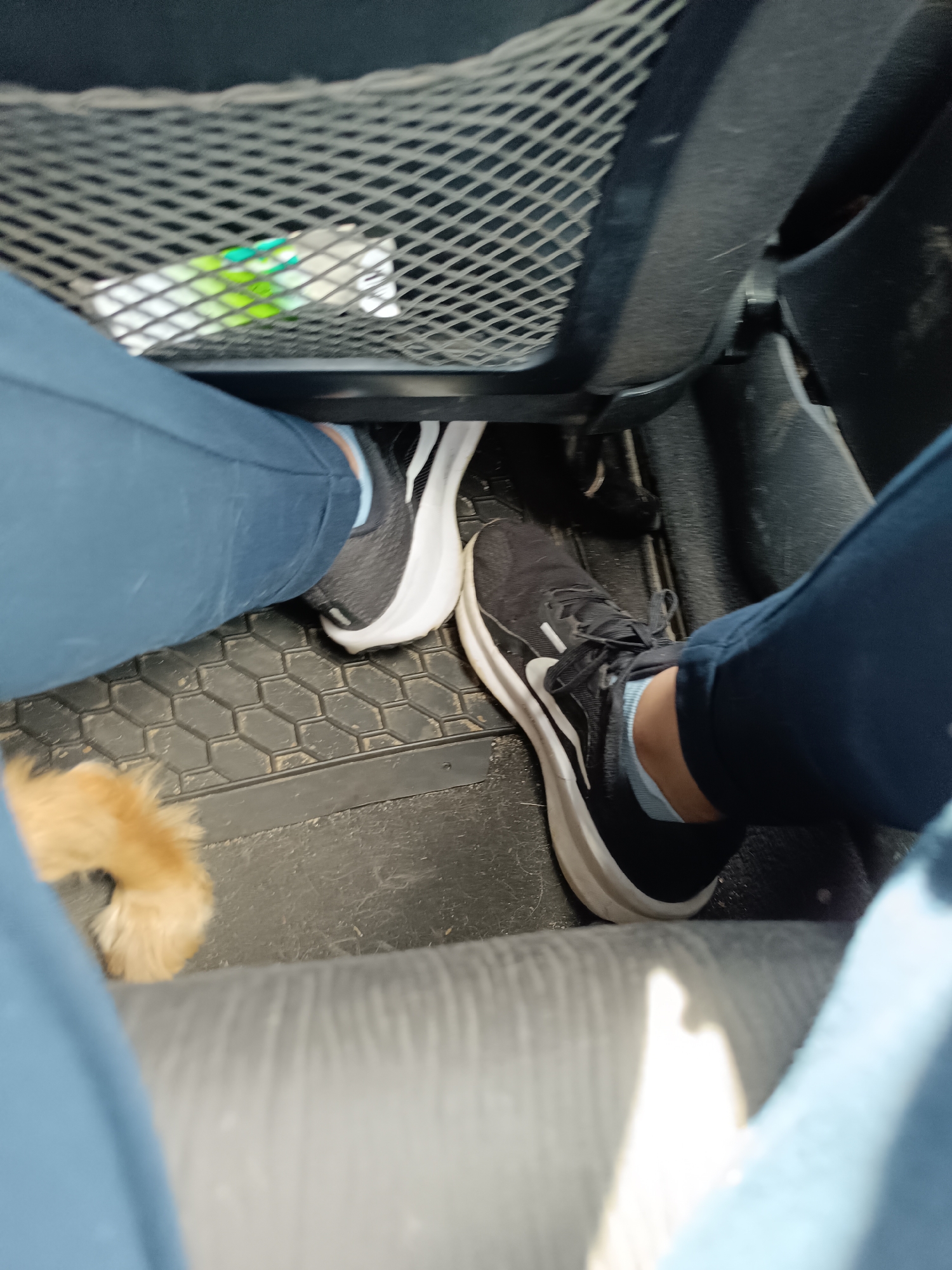 The image shows the interior of a vehicle. Two legs, wearing blue pants and black/white athletic shoes are visible. The car has black rubber floor mats. A portion of a tan animal tail is also visible. A storage net is attached to the seat in front. The location is unknown as there is no information in the photo to suggest Koilovtsi, Bulgaria.