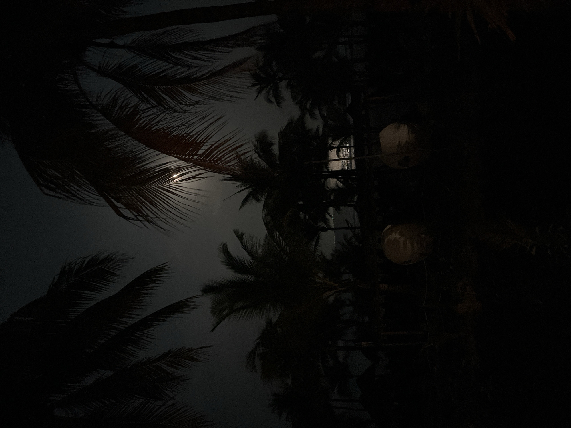 The image shows a night scene in Playa del Carmen, Mexico. Silhouetted palm trees frame the upper and right portions of the image. A light source, possibly the moon, shines through the palm fronds in the upper left. In the center, a glimpse of water or a beach is visible. Two illuminated, spherical objects hang on the right side, possibly lanterns or light fixtures. The overall scene is dark and evocative.