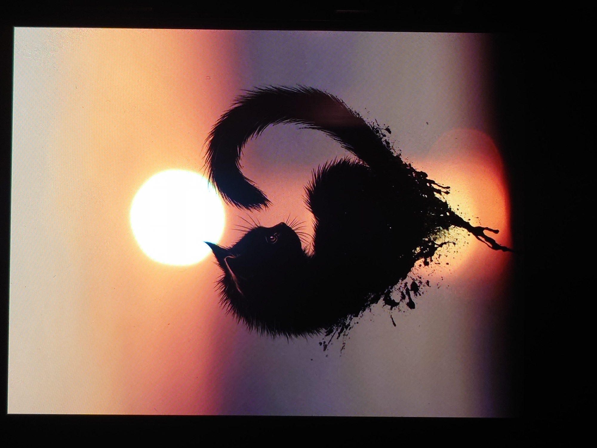 The image is a digital artwork depicting a silhouette of a black cat formed into a heart shape against a sunset backdrop. The cat's tail curves upwards and forms the top lobe of the heart, while its body forms the bottom. The cat is facing to the right, with its profile clearly visible. The sun is a bright, white orb positioned behind the cat's head, casting a warm orange and pink glow across the sky. Splatter effects are visible around the base of the heart shape, giving it an artistic, almost liquid appearance. The overall scene evokes a romantic and serene mood. The image does not depict any elements that would allow for localization in the city of Belorechensk, Russia.