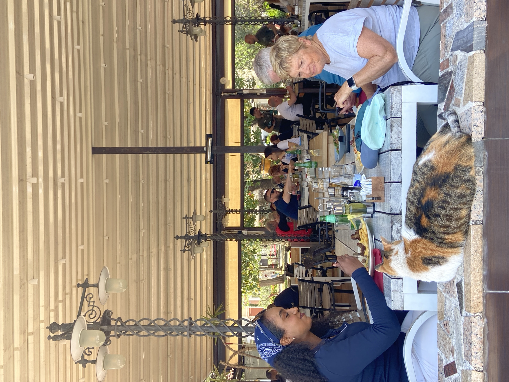 A horizontal, outdoor shot shows people seated at tables on a patio with a striped, corrugated metal awning, likely in Budva, Montenegro.
In the foreground, a young woman with dark, curly hair is seated at a white table. She wears a dark blue long-sleeved shirt and a blue and white bandana. Across from her, an older woman with short blonde hair is seated, wearing a light-colored shirt. An older man with white hair stands next to her, both looking down at the table. A tricolor cat is perched on the edge of the table near the woman. The table is covered with glassware, food, and other items.
Behind them, several other people are seated at tables, and a variety of tables, chairs, and foliage create a scene suggesting a restaurant or cafe. Ornate light fixtures hang from the awning. The background is filled with more people seated at tables under the awning, suggesting a busy establishment.