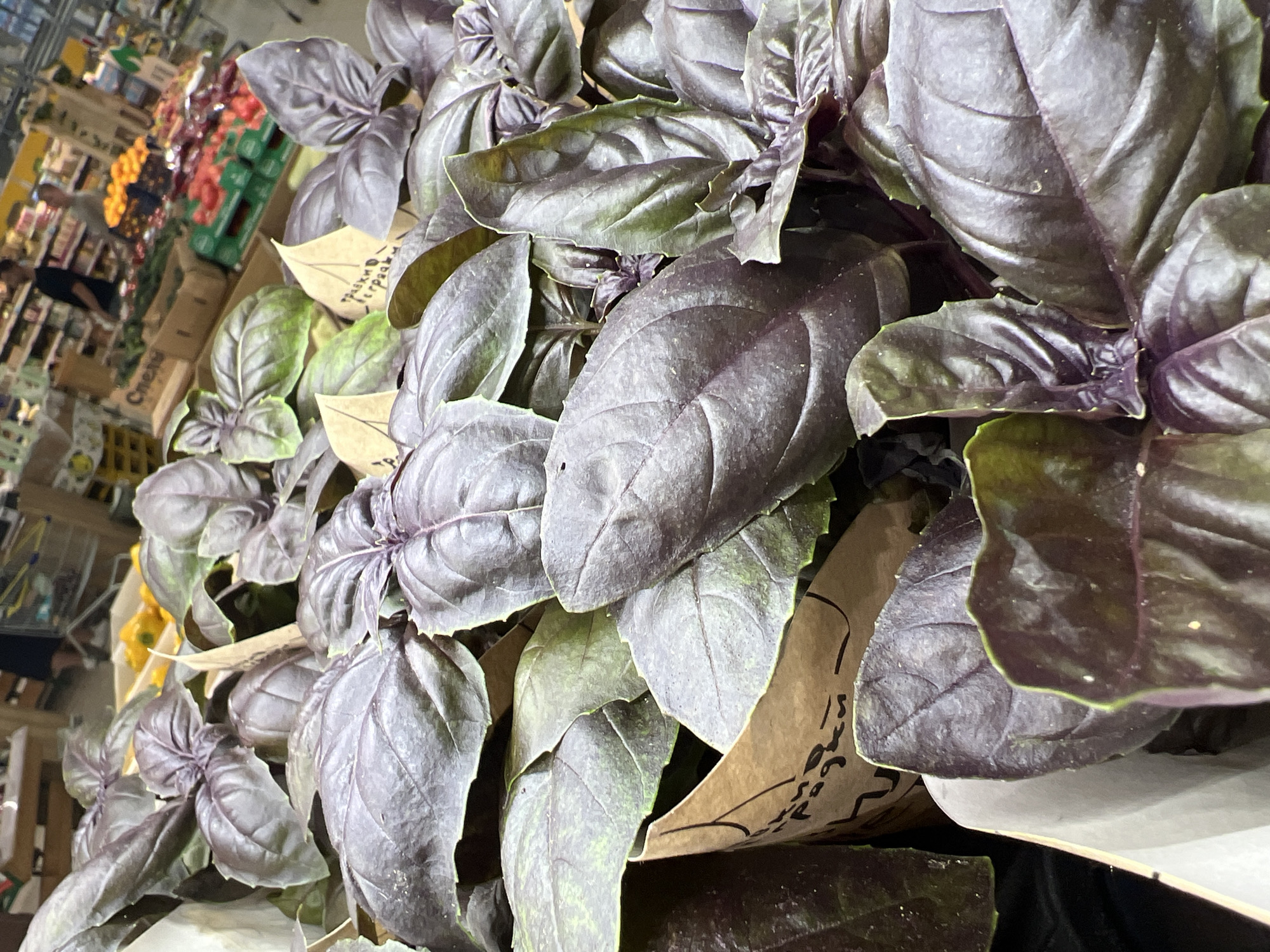 A close-up, slightly angled shot captures a display of dark purple basil leaves, possibly in a grocery store. The leaves are broad and have visible veins. Some of the basil is contained within light brown paper packaging that has handwritten text in Cyrillic script, such as "ТРАВКИ" and "свежие". In the background, out of focus, are shelves stocked with various produce like peppers, tomatoes, and oranges, suggesting a retail environment. Two individuals, a man and a woman, are visible in the distance, shopping. The overall impression is of fresh produce at a market.