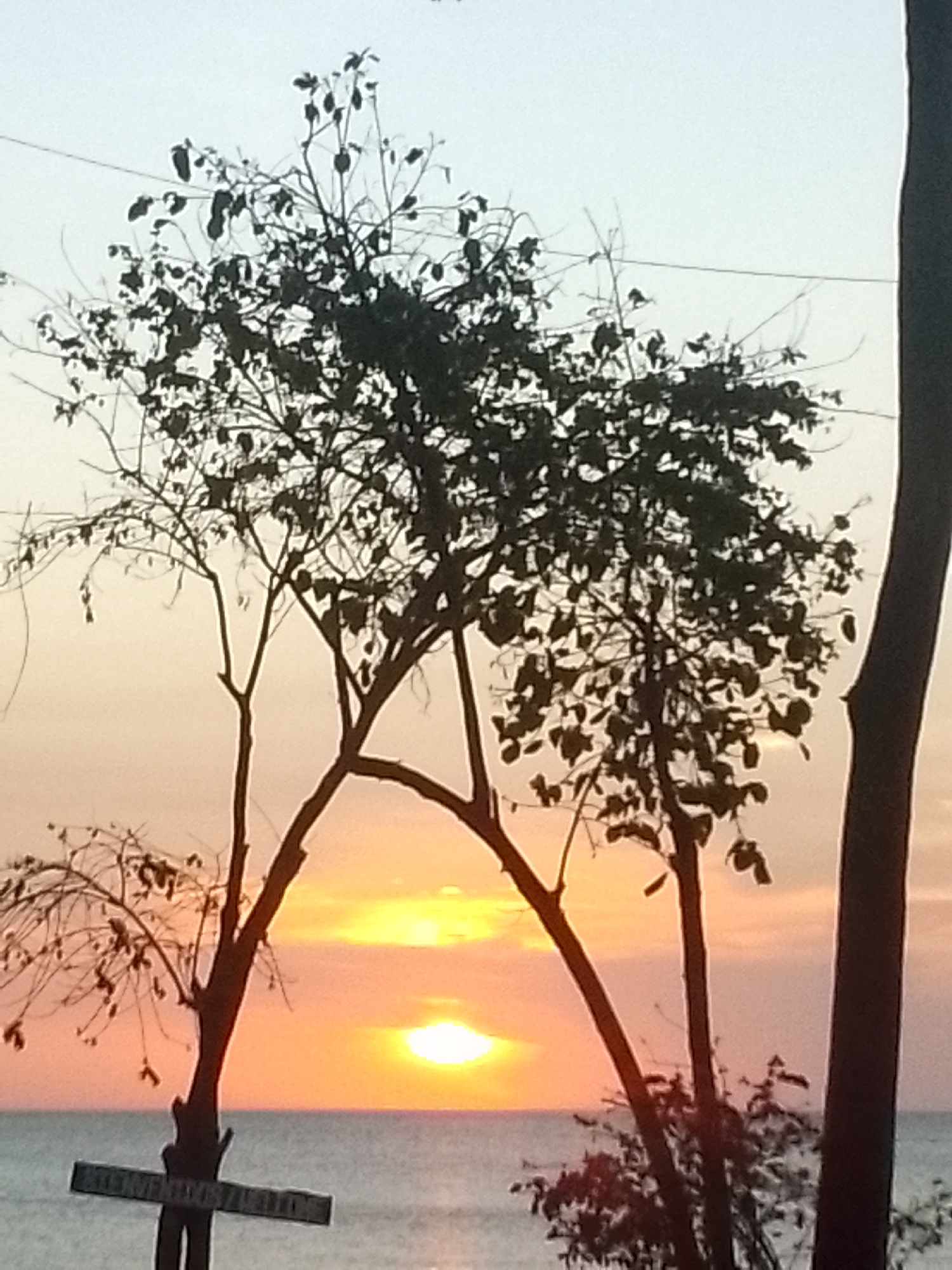 The image captures a beautiful sunset over a body of water, likely an ocean or sea, viewed through the dark silhouettes of several trees. The sky is illuminated with warm hues, featuring a bright orange and yellow glow around the setting sun, which is visible as a vibrant orb on the horizon. This bright area transitions upwards into softer shades of pink and then a pale blue-grey at the top of the frame.
The water surface below the sun reflects its light, appearing calm with gentle ripples. In the foreground, several trees stand in stark silhouette against the glowing sky. Their branches and sparse foliage are clearly outlined, creating a natural frame for the sunset. One tree on the left has a distinctive arching branch, while another thicker trunk is partially visible on the far right.
A notable detail is a wooden sign attached to the trunk of the leftmost tree. This sign is horizontally oriented and appears to be made of two pieces of wood forming a cross shape. Visible text on the sign reads "BIENVENIDOS" on the left portion and "ZULITOS" on the right, suggesting a welcoming message.
The scene conveys a peaceful and tranquil atmosphere, typical of a serene evening by the coast during sunset.