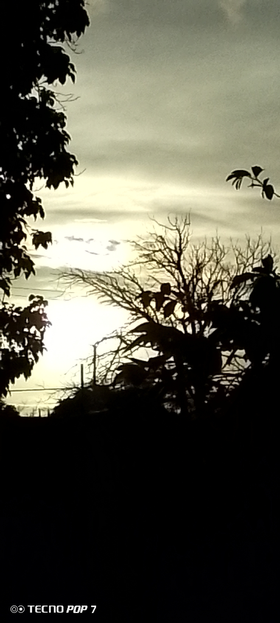 The image captures a silhouetted landscape with the sun, appearing as a bright, diffused orb, positioned behind a cluster of bare tree branches. Foliage from other trees is visible in the foreground and along the left side, also rendered as dark silhouettes. The sky is overcast with streaks of lighter clouds. The lower portion of the image displays a black bar with the text "TECNO POP 7" in white lettering. The scene is devoid of any identifiable human subjects or specific urban features that would allow for a precise location within Altagracia, Venezuela. The overall impression is one of a natural setting at dusk or dawn, with the light source obscured by the atmospheric conditions and foreground elements.