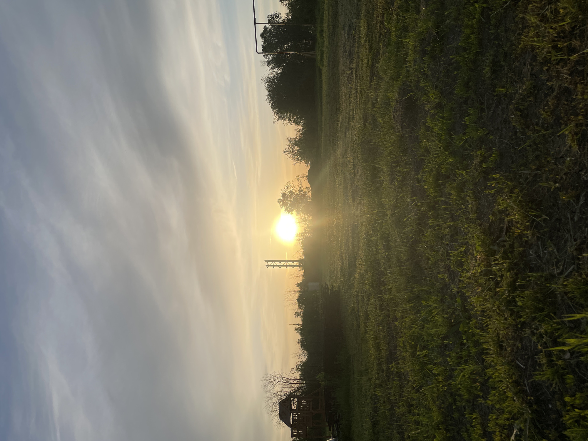 The image shows a landscape at sunset. The sun is low in the sky, obscured by trees and vegetation. In the foreground, there is a field of grass, with some areas of shorter, lighter green grass and other areas of taller, darker grass. A wooden structure is visible in the lower part of the image, along with a transmission tower behind it. The sky is light with some cloud cover. There is no evidence to suggest this image was taken in Saratov, Russia.