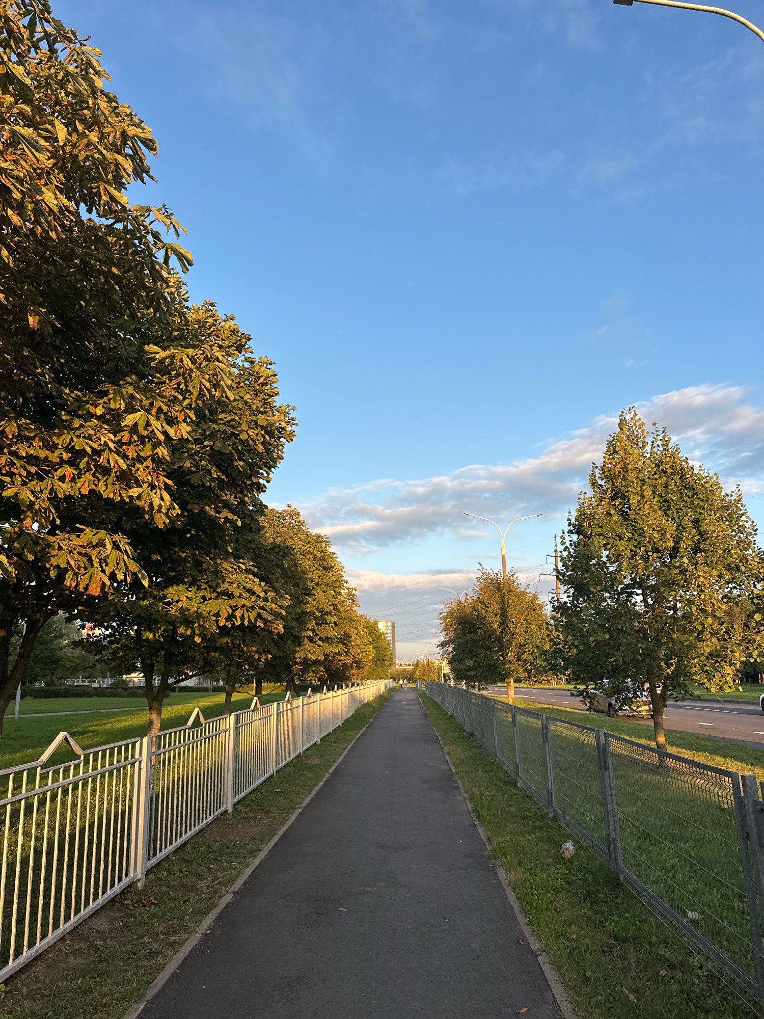 The image depicts a paved pedestrian walkway running parallel to a road, bordered by trees and fences. On the left, a white metal fence with decorative triangular accents separates the walkway from a grassy area with trees. On the right, a grey chain-link fence encloses a grassy verge and the road, where a few cars are visible. The sky is a clear blue with some scattered white clouds, illuminated by the golden light of a setting sun. Streetlights are present along the road. In the distance, buildings and power lines are visible, suggesting an urban or suburban setting. The overall impression is that of a serene evening scene in a city. The specific location is on a pedestrian path near a road and residential buildings in Minsk, Belarus.