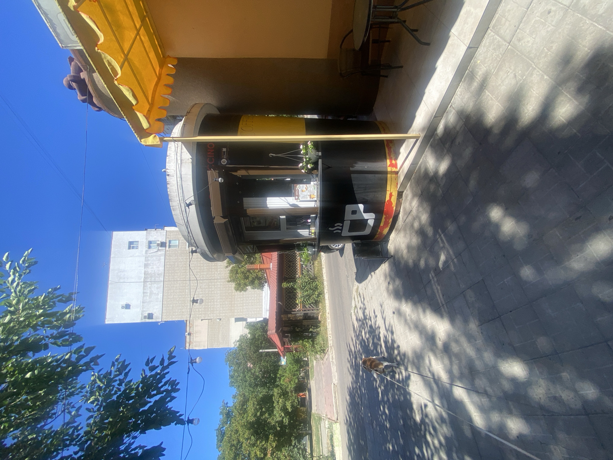 The image depicts a street scene in Chornomorsk, Ukraine, on a sunny day. In the foreground, a small dog on a leash walks across a paved sidewalk shaded by tree leaves. To the right, a circular coffee kiosk with a yellow awning and seating area is visible. Behind the kiosk, an apartment building stands under a clear blue sky. The scene conveys a sense of everyday life in an urban environment.