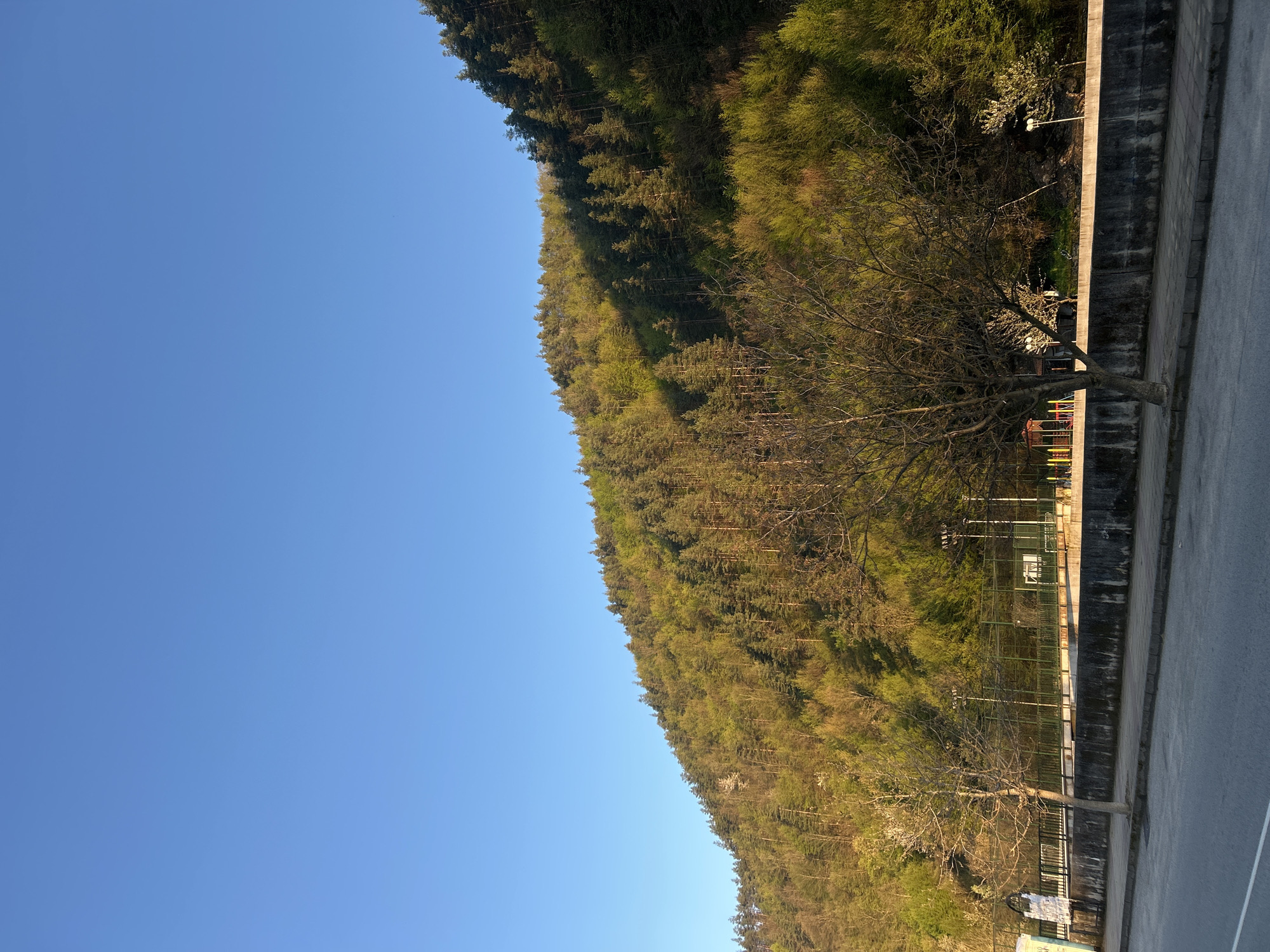 The image displays a serene outdoor landscape, likely captured in Zlatograd, Bulgaria, under a clear, vibrant blue sky. The lighting, characterized by warm, low-angle sunlight, suggests either an early morning or late afternoon setting, casting gentle highlights across the scene.
Dominating the left and central parts of the frame is a verdant hillside, densely covered with a forest of trees. The foliage exhibits various shades of green, with some areas appearing lighter, possibly indicating new spring growth or different tree species. The sunlight illuminates the treetops, creating a textured and inviting natural environment.
In the foreground, running along the bottom right, is a sturdy grey concrete wall, acting as a clear boundary. Adjacent to this wall is a paved surface, appearing to be a road or a wide pedestrian path. Several trees punctuate this area; most notably, a large deciduous tree with intricate, bare branches stands prominently in the mid-ground, casting subtle shadows. Behind this tree and the wall, a metal fence encloses what appears to be a sports court, possibly for tennis or basketball, given the visible white lines on its ground. Further along the wall, a street lamp and another smaller, bare tree are visible. No people or discernible text are present in the scene, which conveys a peaceful and natural atmosphere at the edge of a recreational zone.