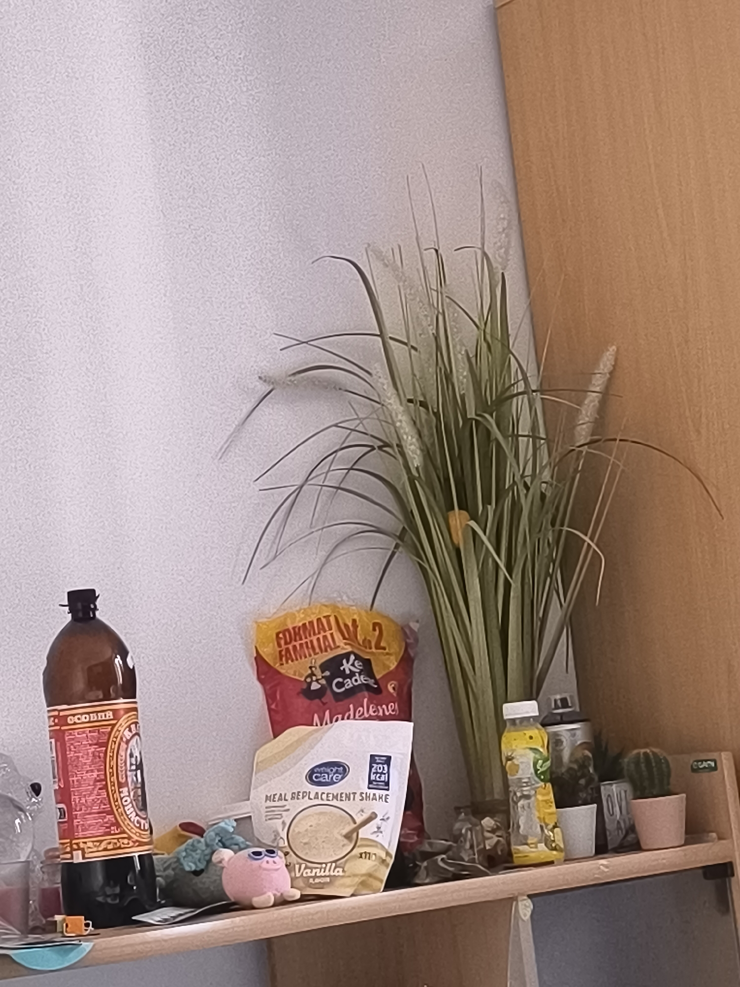 The image shows a cluttered shelf against a white wall. On the shelf, from left to right, there is a brown glass bottle with a red label with Cyrillic text, a plastic bag, a blue and green stuffed animal, a pink pig figurine with sunglasses, a bag of vanilla meal replacement shake mix with the text "wright care" on it, a bag of madeleines, a yellow and white drink bottle, an opaque glass container, a small plant pot with "OVI" printed on the side, and a small pink plant pot containing a cactus. A decorative tall grass plant is positioned behind the items. The background reveals part of a light brown wooden cabinet, possibly the side of a wardrobe. The photograph does not provide any information about Pélussin, France.
