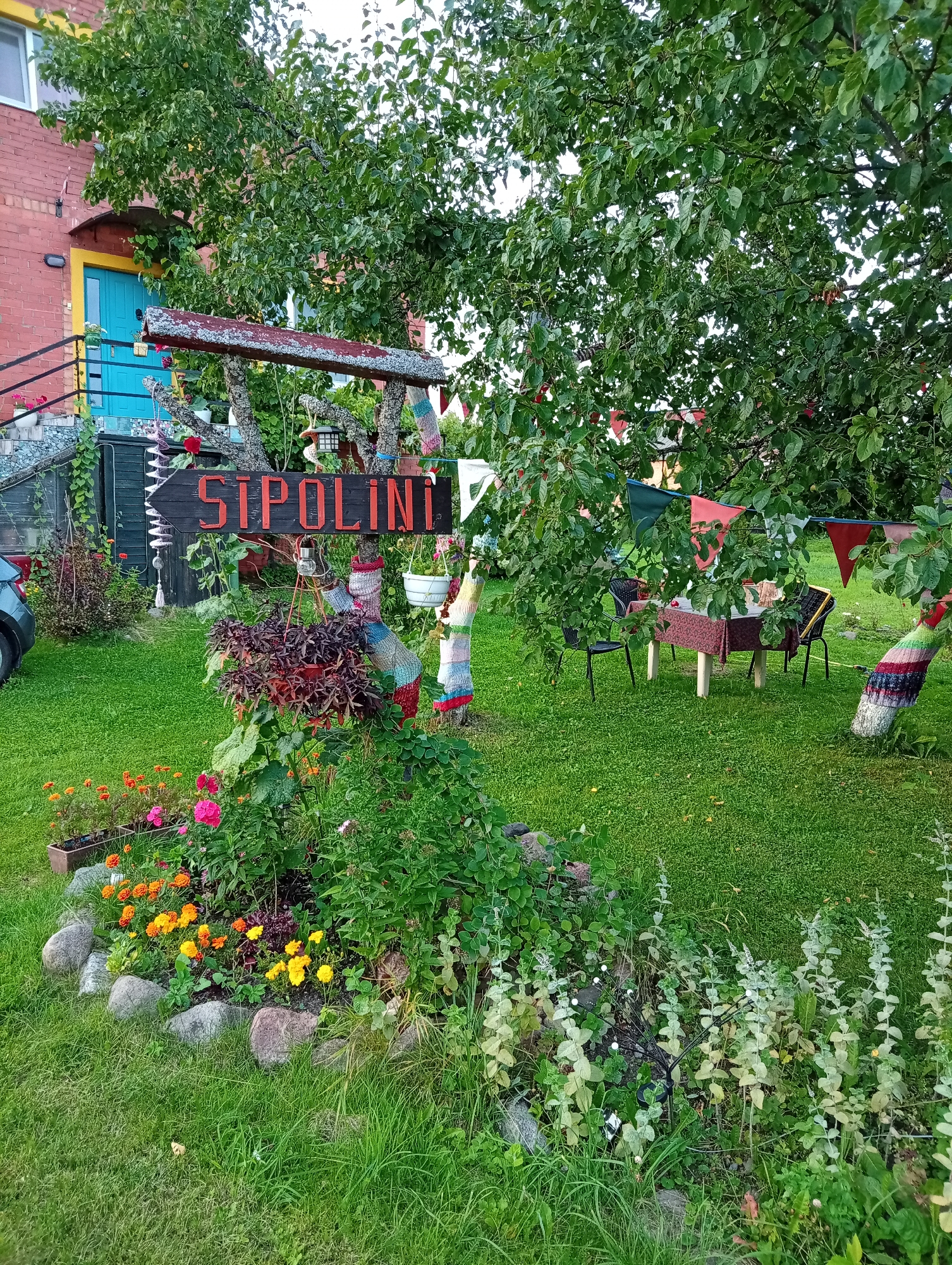 The image depicts a whimsical garden scene, likely in Blonti, Latvia, characterized by vibrant decorations and a welcoming atmosphere. A rustic wooden sign with the word "SIPOLINI" painted in orange letters points to the left. The sign is supported by two carved wooden posts adorned with colorful knitted cozies.
In the foreground, a well-tended flowerbed bursts with a variety of blooming flowers in shades of orange, yellow, and pink, bordered by a ring of grey stones. Behind the flowerbed, a large tree with lush green foliage dominates the scene. Colorful triangular flags are strung between branches, adding a festive touch.
Further back, a table covered with a patterned tablecloth is set with chairs, suggesting an outdoor dining area. The trunks of some trees are also wrapped in colorful knitted material. To the left of the sign, a bright blue door with a yellow frame is visible on a red brick building, accessible by a set of stairs. The entire area is covered in well-maintained green grass. The overall impression is one of a charming and creatively decorated outdoor space.