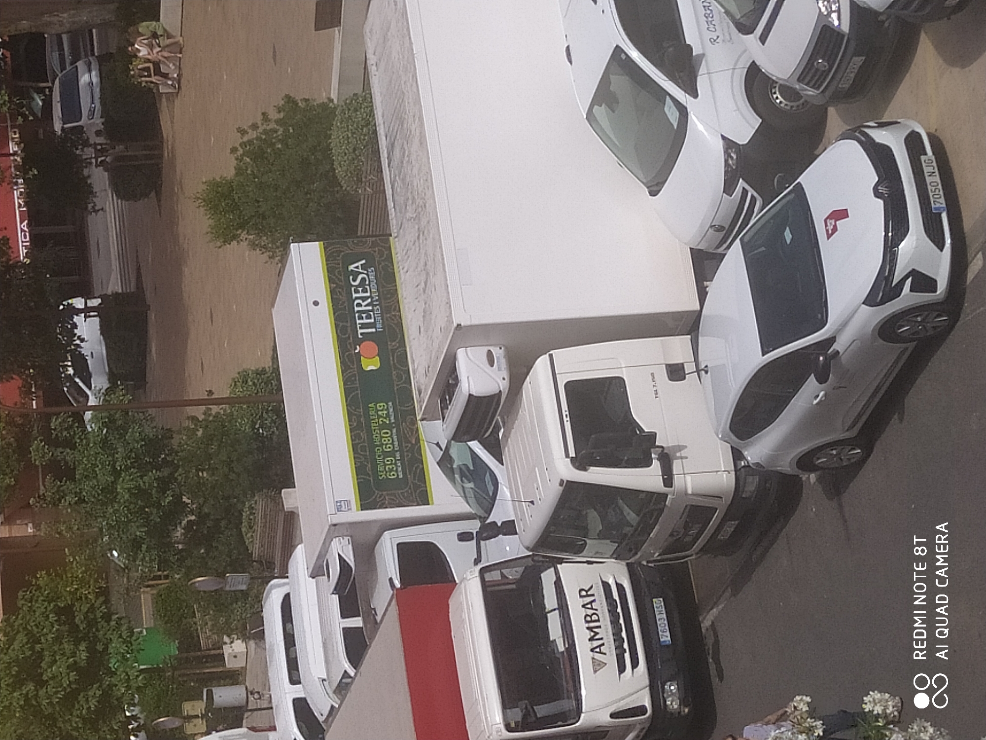 An eye-level, exterior, medium shot captures a street scene with several parked vehicles. In the foreground, a white Renault Clio with license plate "7050 NJG" is parked on the right, displaying a red logo on its hood. To its left, a white Iveco truck with the logo "VAMBAR" and license plate "7603 HSG" is parked. Behind this truck is another white truck cab, and further back, a large white refrigerated truck with green lettering advertising "TERESA FRUITES I VERDURES" and a phone number "639 680 249" is visible. To the right of the "TERESA" truck is a white van. A woman in casual clothing walks on the left side of the frame, carrying a bouquet of white flowers. In the background, a white van with a red license plate is parked. Across the street, people are seated on a bench. The scene appears to be in an urban environment with trees and buildings.