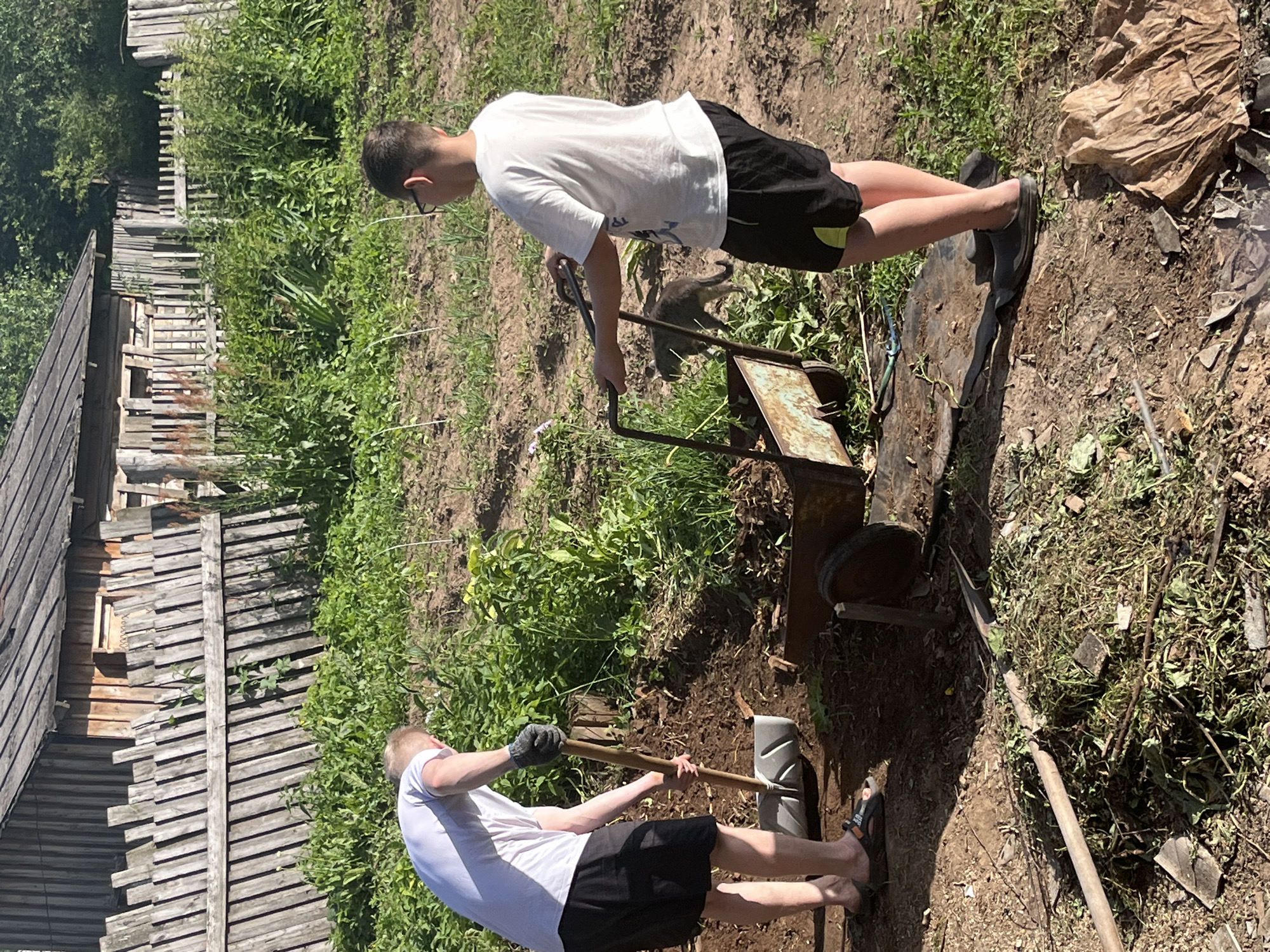 Two young males are engaged in garden work outside a weathered wooden structure. One individual, wearing a white t-shirt and black shorts, is using a shovel to move dark soil. The other, also in a white t-shirt and black shorts, is pushing a rusty, single-wheeled wheelbarrow loaded with debris. A gray cat is visible near the wheelbarrow. The surroundings consist of dry soil, green foliage, and a dilapidated wooden fence. The scene appears to be in a rural area, possibly a backyard in the town of Fokino, Russia, given the architectural style and vegetation.