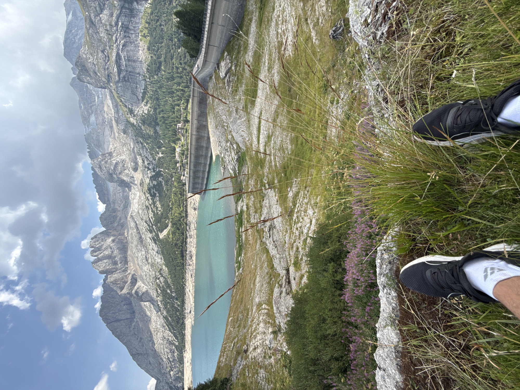 The image depicts a scenic mountain landscape with a dam and reservoir in the foreground. The photographer's feet, clad in black athletic shoes and white socks, are visible at the bottom of the frame, suggesting a first-person perspective. The environment is characterized by rocky terrain, sparse vegetation including green grass and purple wildflowers, and tall dry grasses swaying in the foreground. In the midground, a large concrete dam stretches across the frame, holding back a body of turquoise water. Beyond the dam, a dense forest of evergreen trees covers the lower slopes of imposing, rocky mountains. The peaks of these mountains are sharp and rugged, with some patches of snow or ice visible on the highest elevations. The sky above is a mix of blue sky and scattered white clouds, indicating a daytime setting. The location is the Fedaia Pass in the Dolomites, near Canazei, Italy, known for its stunning mountain scenery and the artificial lake created by the dam.