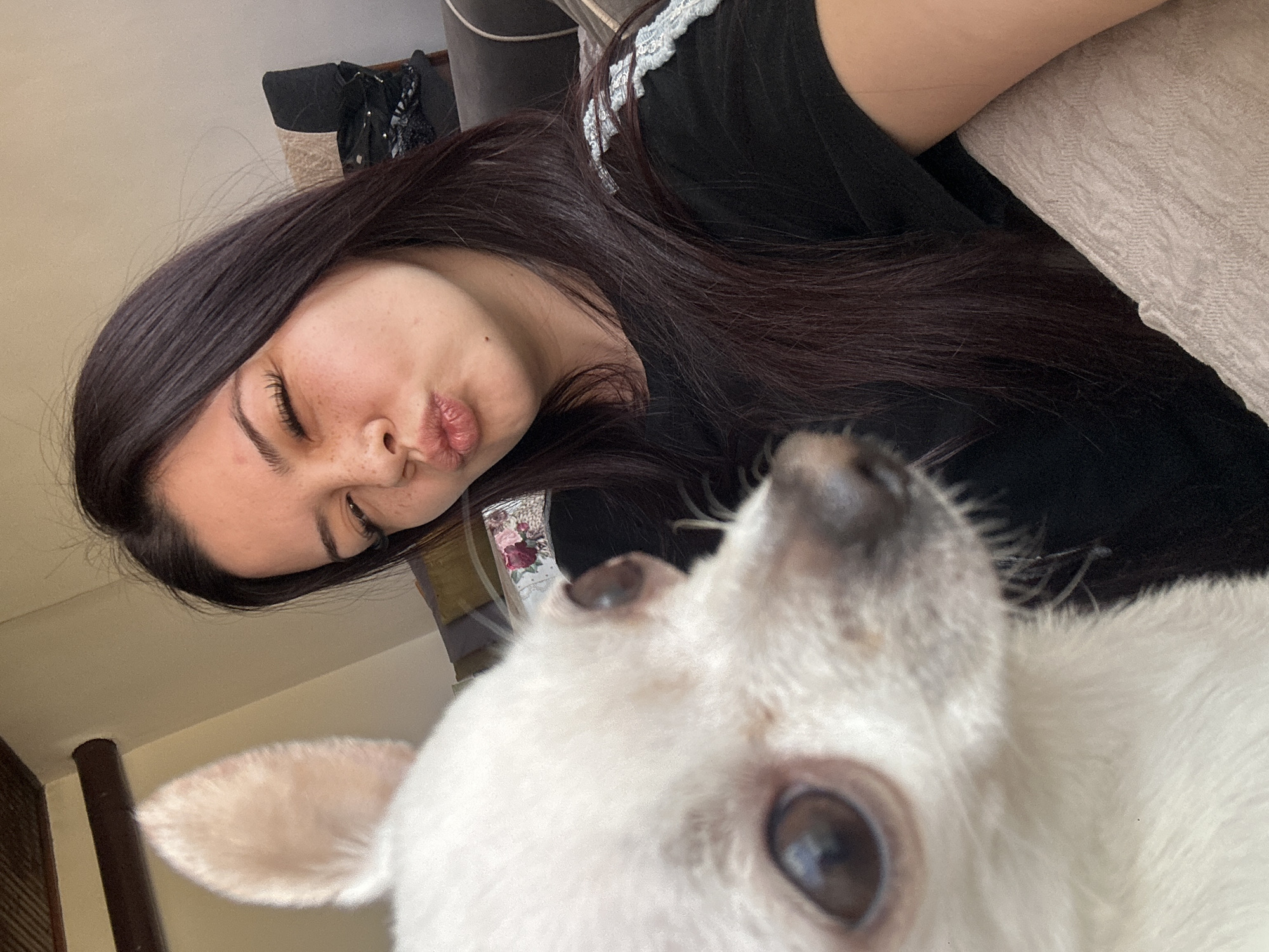 A selfie-style photograph depicts a woman and a white dog. The woman, with dark hair and closed eyes, is making a kissing face. She is wearing a black shirt with white stripes on the shoulder. A small, white dog is in the foreground, its face filling much of the frame. The dog's eye is in sharp focus. The background shows a room interior with a sofa and other furniture. The location of the photograph is not discernible as Chubra, Bulgaria.