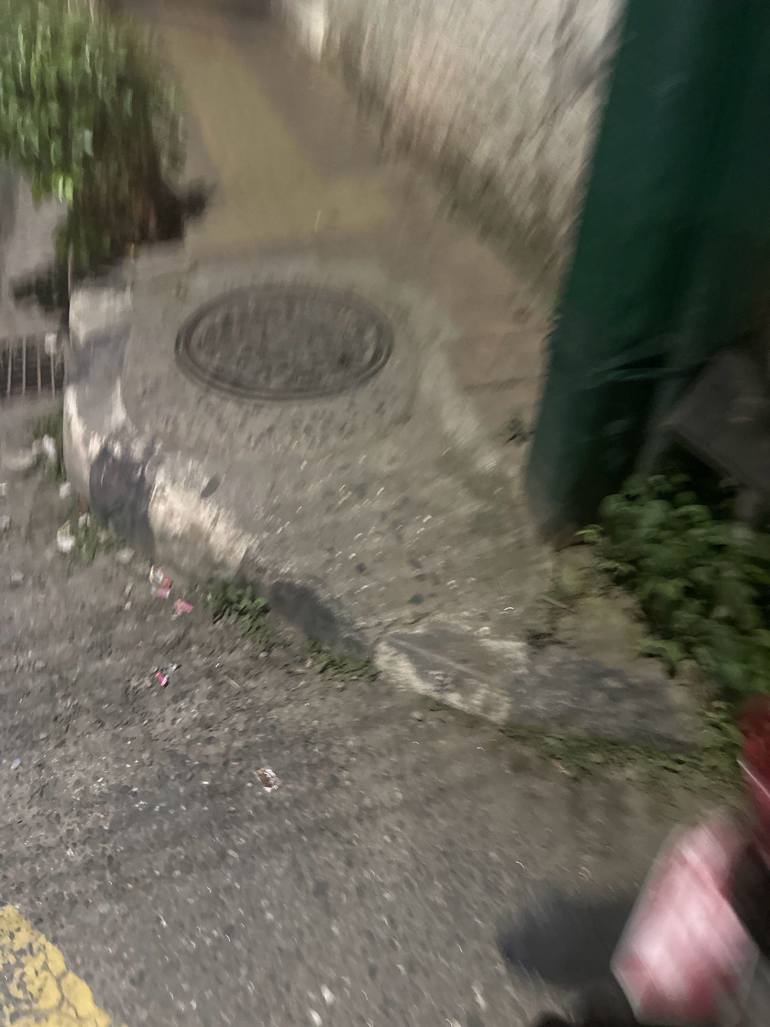 The image depicts a blurred, low-light scene of a street or alleyway. In the foreground, asphalt pavement with a yellow line is visible, with scattered debris including small pieces of pink and red material. To the left, a concrete sidewalk or raised area is present, with a metal grate. A circular manhole cover is embedded in the concrete. Further back, a patch of green foliage and a dark green tarp or fabric are visible against a textured, light-colored wall, possibly a building. The overall impression is that of an urban environment in Nepal, potentially Lalitpur, showing signs of wear and possibly neglect due to the debris. The image is significantly motion-blurred, making precise identification of objects and actions difficult. There are no discernible people or specific interactions captured in this frame.