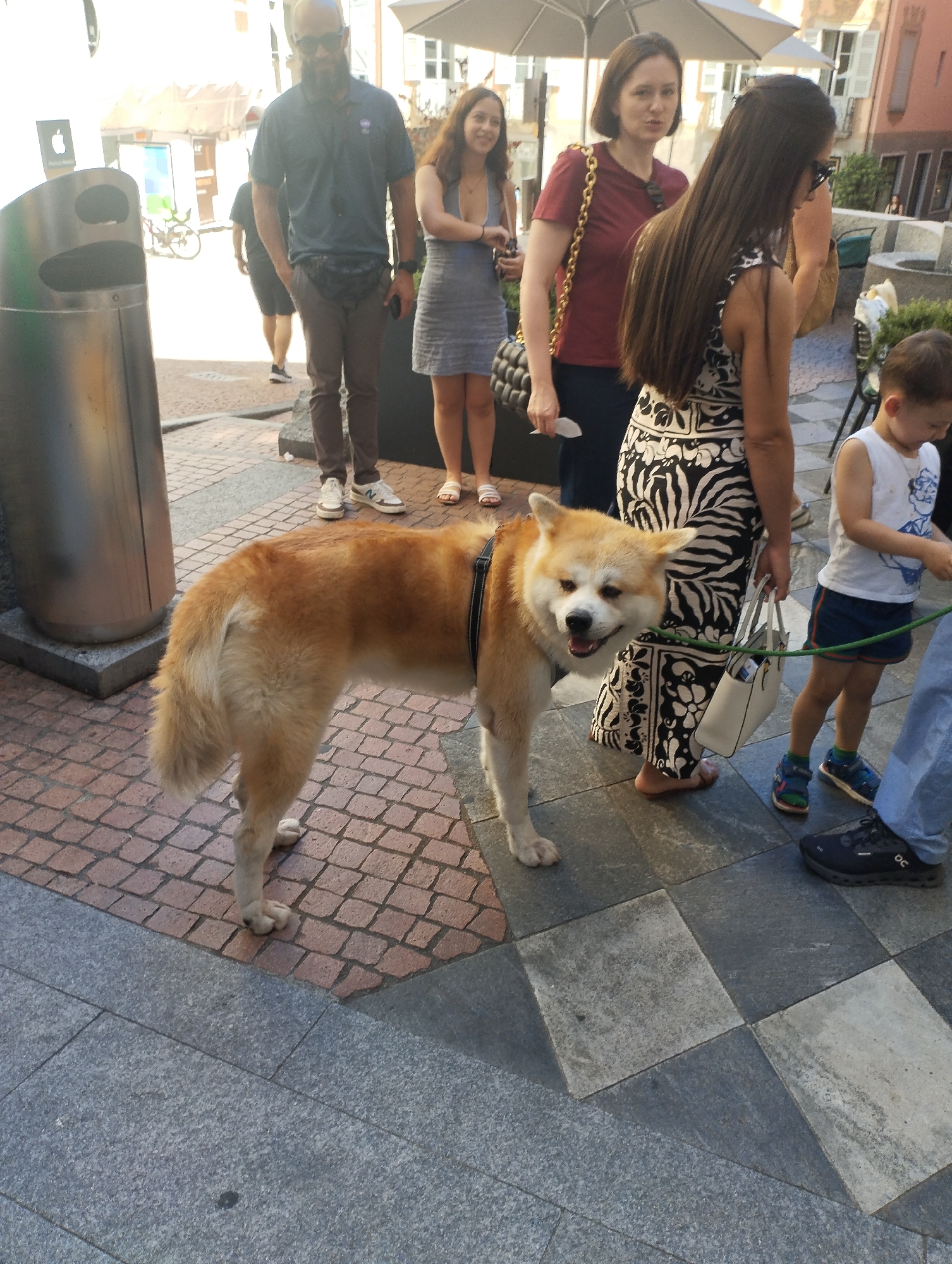 A man with a bald head and beard, wearing sunglasses and a dark blue collared shirt with dark pants and a fanny pack, stands on a paved walkway. A medium-sized, light brown and white Akita dog with its mouth open is positioned in front of him, facing left. Behind the man, a woman in a dark blue dress smiles and stands next to another woman wearing a red shirt and holding a purse. To the right, a young boy in a white shirt and blue shorts stands near a woman in a black and white patterned dress. The scene appears to be outdoors, possibly in a public area with shops or businesses in the background, suggesting it is in the city of Lugano, Switzerland, potentially along a pedestrian street.