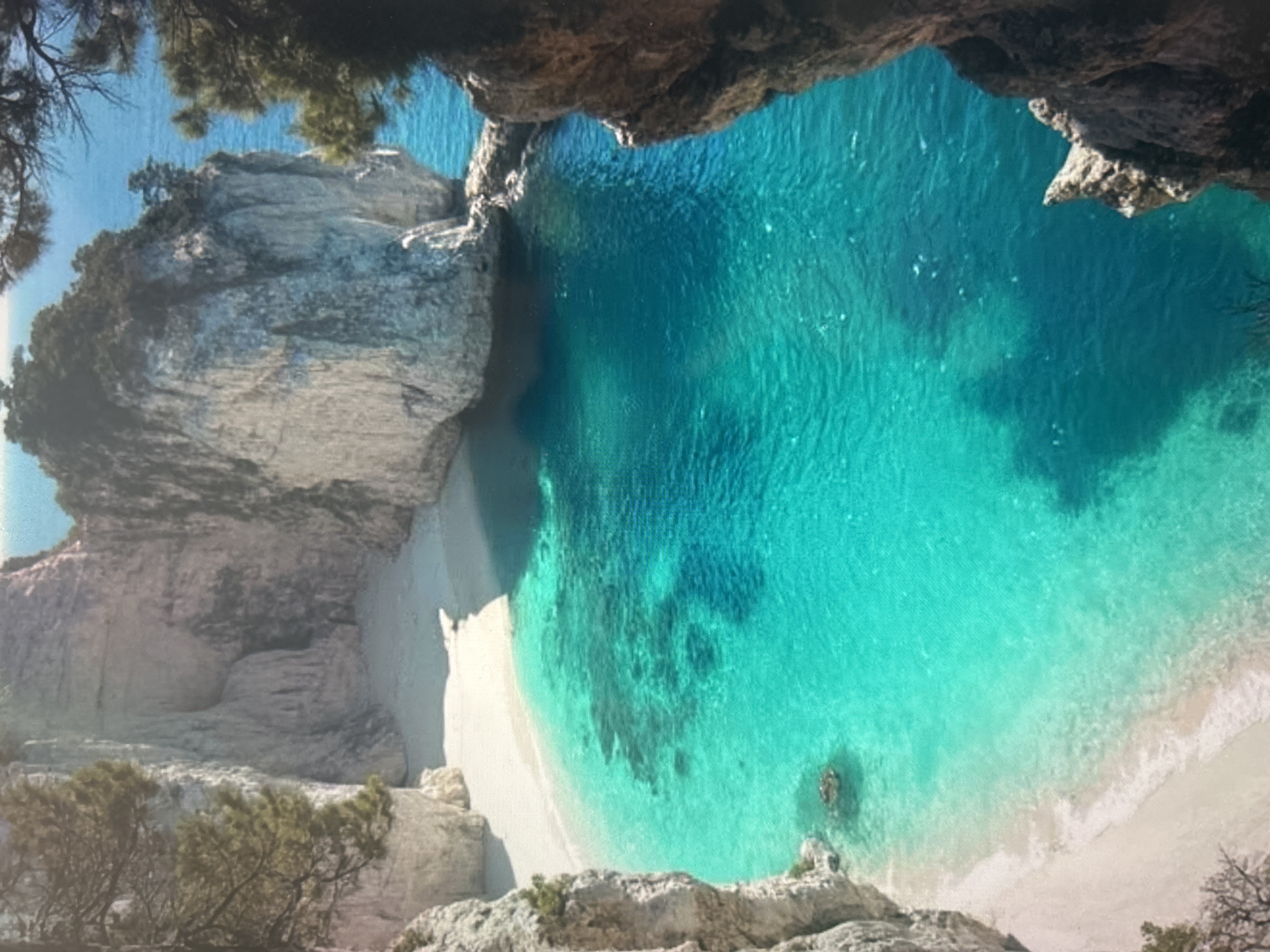 The image captures a breathtaking aerial or high-angle view of a secluded cove. The dominant feature is the incredibly clear, turquoise-blue ocean water, which transitions from a deeper blue further out to a vibrant, translucent aquamarine closer to the shore, revealing the sandy seabed beneath.
A pristine white sand beach forms a crescent shape, gently curving along the edge of the cove. The sand meets the water in a smooth line, with small, soft waves creating a foamy edge where they break. On either side, dramatic, light-colored limestone cliffs rise steeply, framing the beach and water. These cliffs exhibit rough, textured surfaces and varying shades of gray, white, and light brown, with some darker shadows indicating depth and contours.
Sparse green vegetation, primarily small trees and shrubs, dots the top and sides of the cliffs, adding a touch of contrasting color to the rocky landscape. Some trees hang over the edge, their branches partially obscuring the top left and right corners of the frame, suggesting the vantage point is from within a cave or under an overhang. The sunlight is bright, indicating a clear, sunny day, likely during late morning or early afternoon, casting some shadows on the cliff faces and within the water, highlighting its clarity.
There are no people or man-made objects visible, emphasizing the natural and untouched beauty of the location. The scene conveys a strong sense of tranquility, isolation, and natural splendor. No visible text is present in the image.