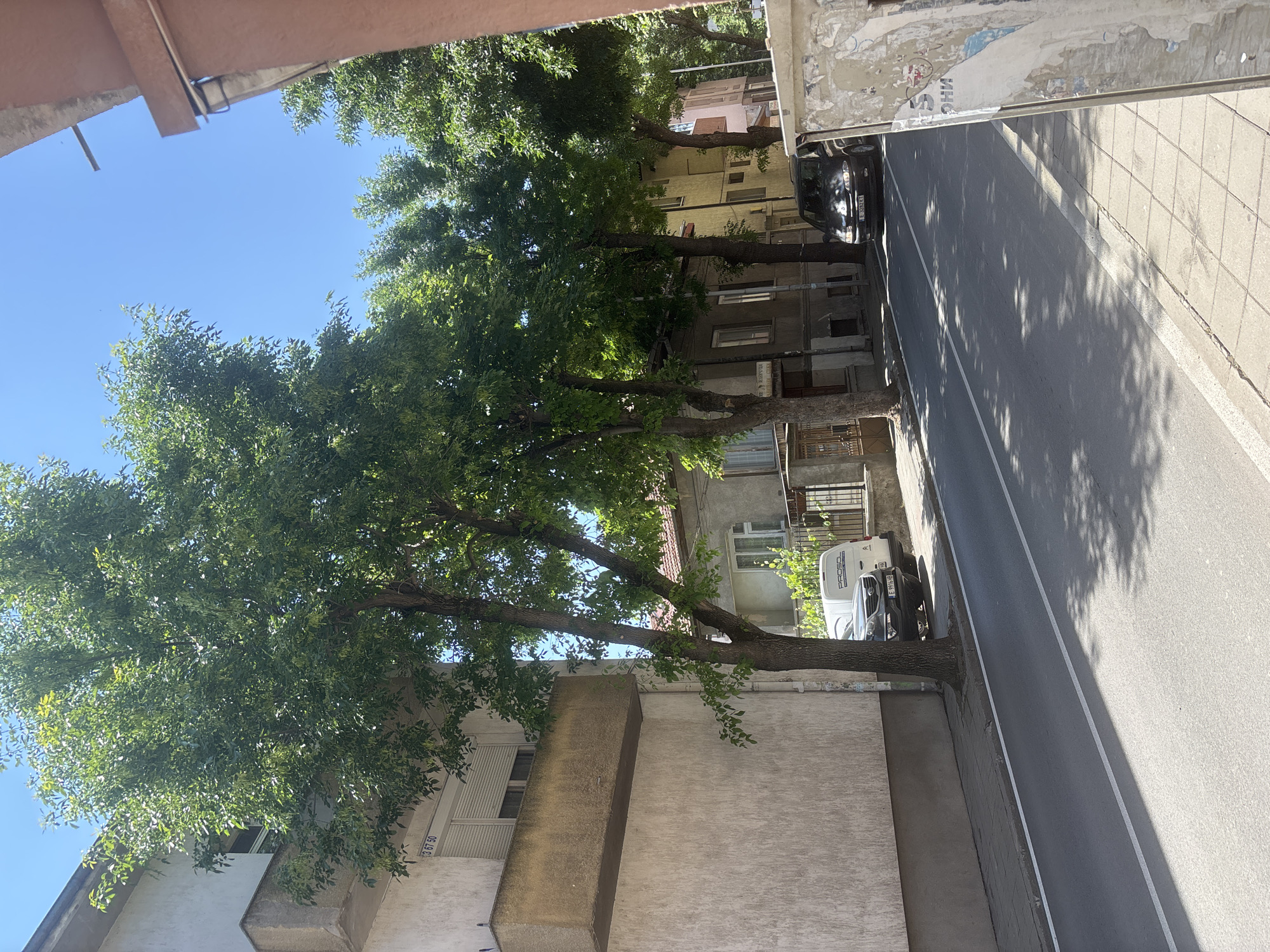 The image presents a sunny street scene in Blagoevgrad, Bulgaria, viewed from an elevated perspective, likely a window or balcony, looking down onto the street below. The original image is rotated 90 degrees counter-clockwise.
The street, paved with asphalt, runs through the frame, marked by a solid white line. On one side of the street, a row of mature trees with dense green foliage provides shade, casting distinct shadows across the road and the adjacent paved sidewalk. Behind these trees, various multi-story buildings are visible. One building features light-colored walls, a window with horizontal shutters, and the numbers "3 67 50" prominently displayed on its facade. Further along, another building has a sign that appears to read "ЮРИДИЧЕСКИ" (meaning "Legal" or "Law" in Bulgarian).
Parked along the street, partially obscured by the trees, are two vehicles: a dark-colored car with a Bulgarian license plate "E 9748 KE", and a white delivery van, which has partially visible text on its side that might read "PROS" or "PROGRESO".
On the opposite side of the street, a sidewalk runs alongside another building. This building exhibits weathered walls adorned with peeling posters, one of which shows partially legible text such as "ОНС" or "ИНО".
Above the scene, a clear, bright blue sky is visible through the tree canopy, and a reddish-brown architectural element (possibly an overhang or balcony edge) frames the top of the viewpoint. The strong sunlight and sharp shadows indicate it is likely midday or early afternoon on a clear, warm day. No people or specific activities are observable in the static street scene.