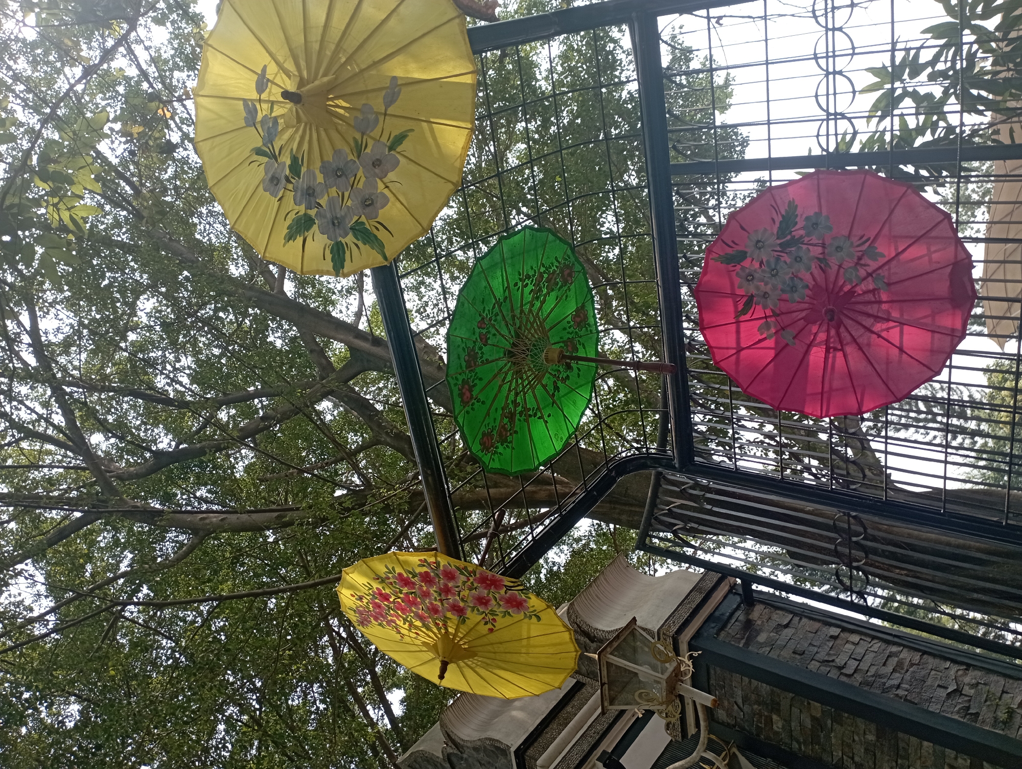 This is an eye-level shot of a collection of four decorative umbrellas suspended from a black metal structure. The umbrellas are colored yellow, green, and pink, and all feature floral designs painted on their fabric. The yellow umbrella on the left is adorned with red flowers, while the yellow umbrella on the right and the pink umbrella have white flowers. The green umbrella also has floral patterns. Behind the umbrellas, a large tree with dense green foliage dominates the upper portion of the frame. The umbrellas are arranged in a way that suggests they are part of an outdoor decoration. In the lower left, a stone wall and a white decorative pillar with a lantern are visible. The scene is lit by natural daylight, casting soft shadows. The image was taken in the city of Purwakarta, Indonesia.