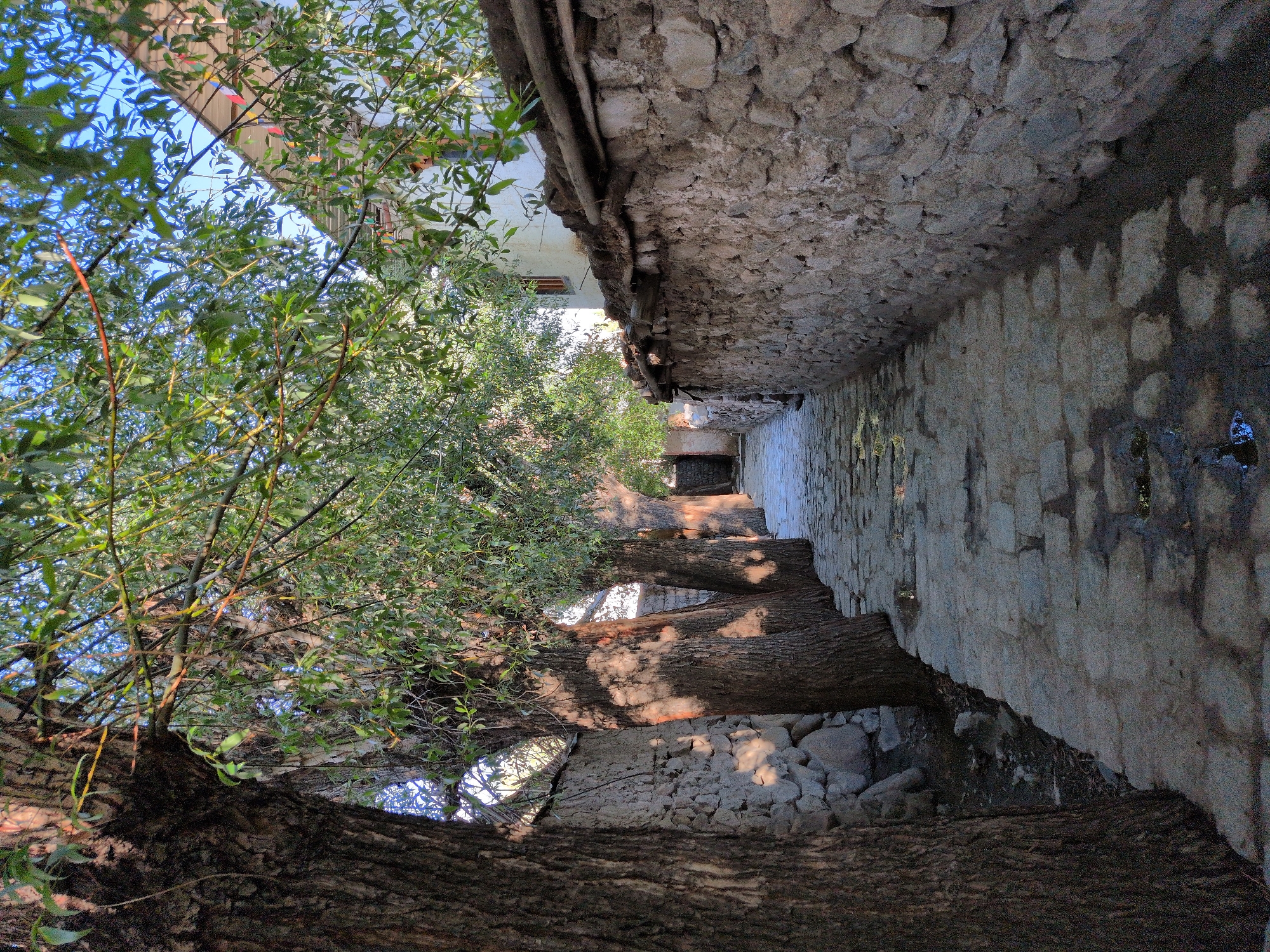 The image shows a narrow, stone-paved pathway in the city of Leh, India. The pathway is lined on both sides by tall, ancient trees with rough bark and lush green foliage. On the right side of the path, a stone wall with a thatched roof runs along its length. On the left, another stone wall is visible, with some larger rocks at its base. Beyond the trees and walls, a traditional Ladakhi house with white walls and a brown roof can be seen. The lighting suggests it is either early morning or late afternoon, with dappled sunlight casting shadows on the pathway and tree trunks. The path appears to be well-maintained, with some puddles of water on the stone paving. The scene evokes a sense of tranquility and timelessness, characteristic of the old parts of Leh.