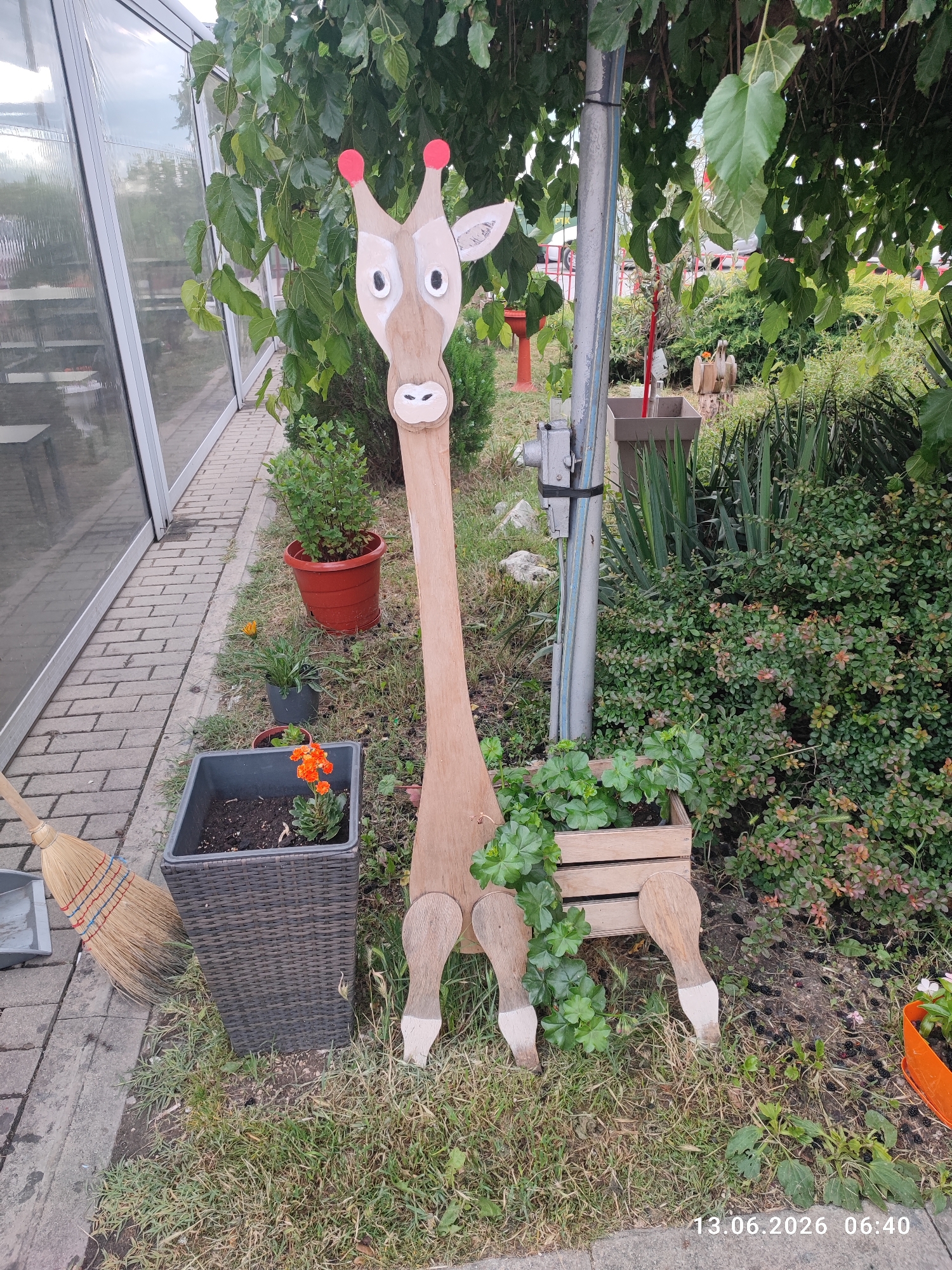 The image depicts an outdoor scene in the city of Belozem, Bulgaria. In the foreground, a wooden giraffe decoration stands on the grass. The giraffe is made of light-colored wood, with red accents on its ears. It has large, painted eyes and a simple mouth. The giraffe's body is elongated, with four wooden legs.
To the left of the giraffe, there is a dark gray, rectangular planter containing a small orange flowering plant. A broom with a wooden handle and straw bristles rests against the planter. Further left, a section of a brick pathway is visible, bordered by a glass structure, likely a greenhouse or conservatory.
Behind the giraffe, a metal pole stands upright, wrapped with black tape. Green foliage from trees overhangs the scene. In the background, there are various plants, bushes, and a red flower pot. A wooden planter box with green plants sits near the giraffe's front legs. The ground is covered with grass and soil. The image is dated "13.06.2026 06:40".