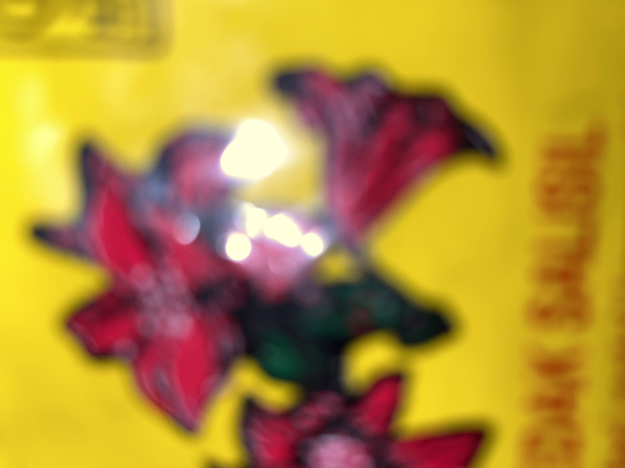 The image is a blurry, close-up shot of a yellow surface with red and dark green floral patterns. There is text at the bottom of the image that is also out of focus. The scene appears to be indoors, given the lighting. No specific location in Buleleng, Indonesia can be determined from the image.