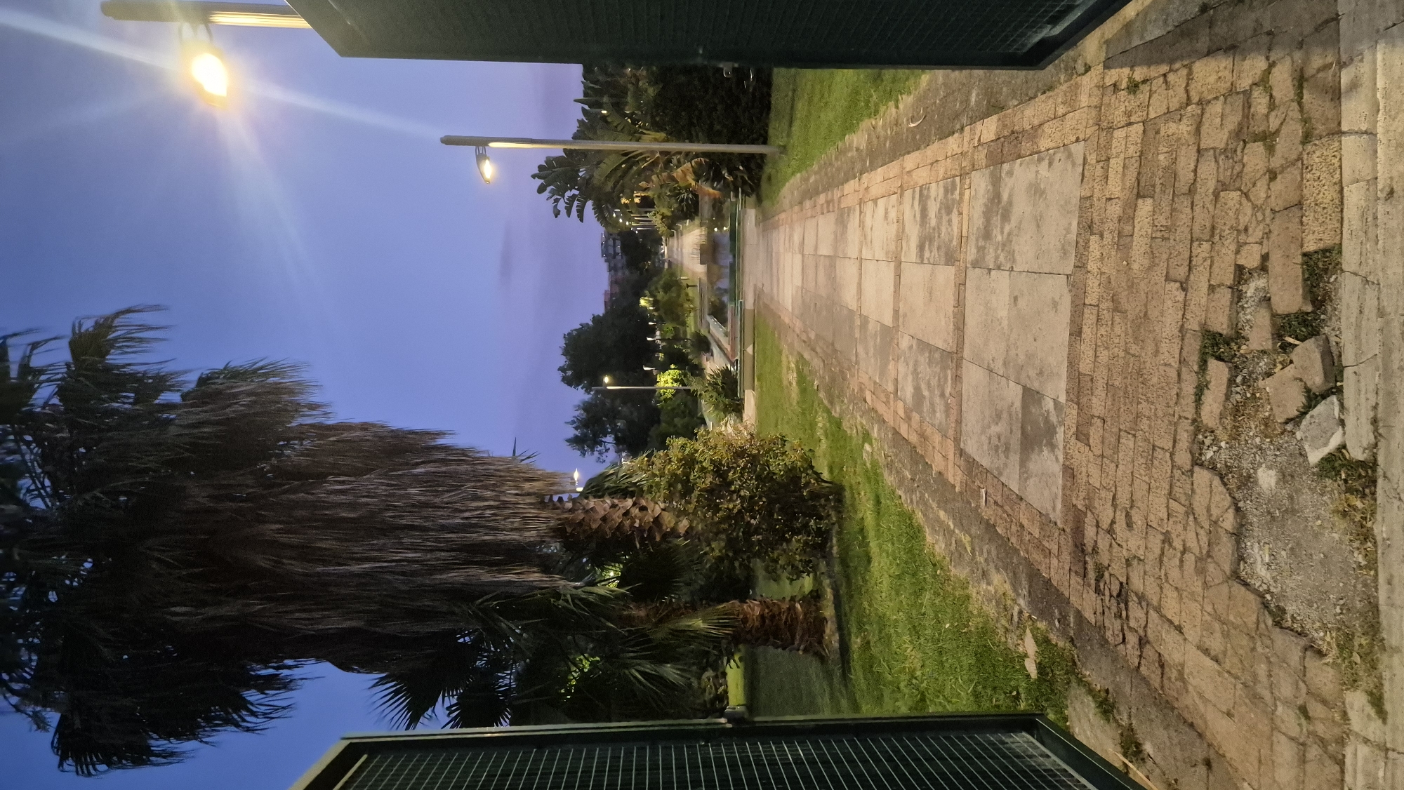 An eye-level, full shot captures a paved pathway leading through a park at dusk. The pathway is constructed of large, square concrete slabs bordered by smaller, reddish-brown bricks. The bricks are visibly worn and broken in places, with some missing. Flanking the pathway is a lush green lawn.
To the left, a large palm tree with dry, drooping fronds dominates the foreground. To the right, two modern, light-colored lampposts illuminate the scene. In the distance, the pathway continues, lined with trees, shrubs, and a long, rectangular body of water, possibly a fountain or pond, with light-colored benches on either side. The sky above is a deep twilight blue, with the sun having recently set. The park appears to be an urban setting, as suggested by the buildings visible in the far distance. The image is taken from within an open, dark green gate, framing the view of the park.