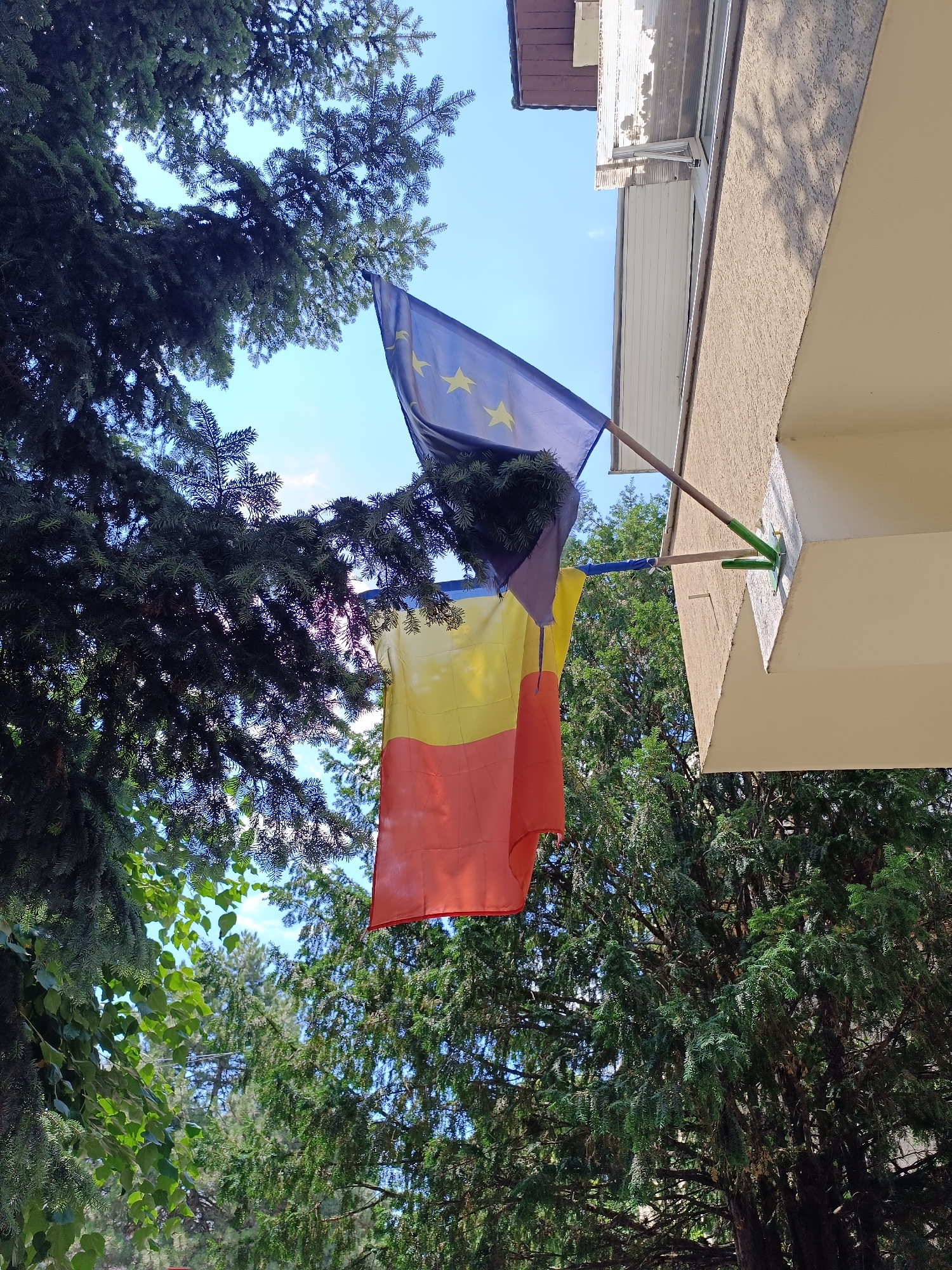 The image depicts two flags displayed outdoors, near a building and surrounded by trees. One flag, partially visible on the left, is the European Union flag, characterized by its blue background and yellow stars. The other flag, hanging below the EU flag, is the national flag of Romania, which is a tricolor of vertical blue, yellow, and red stripes. Both flags are attached to a flagpole mounted on the exterior wall of a building. The building appears to be a residential or administrative structure, with a textured, light-colored facade and some elements suggesting balconies or awnings. Lush green trees, with dense foliage, frame the scene, with their branches extending into the foreground and background, creating a sense of being in a natural or semi-natural environment within a populated area. The sky above is clear and blue, indicating fair weather conditions. The image is captured from a low angle, looking upwards. There is no indication of specific landmarks within Târgu Jiu, Romania, based solely on the visual elements presented.