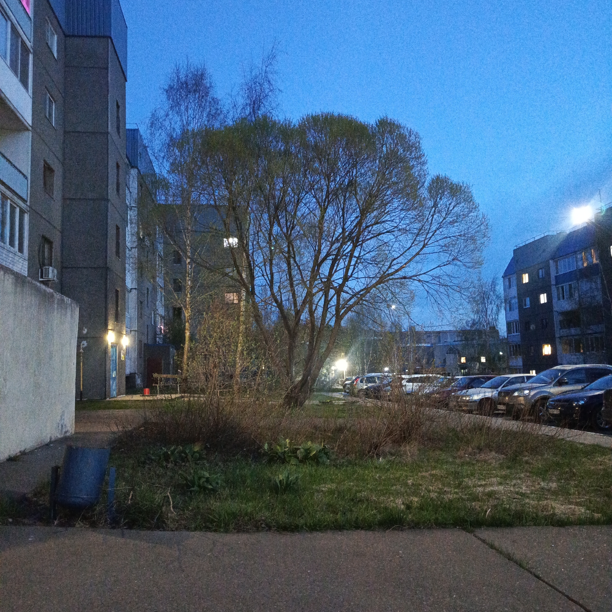 The image depicts a street scene at dusk in Марковский, Russia. In the foreground, there is a paved sidewalk bordering a patch of grass and shrubbery. A blue, partially obscured trash receptacle sits near the sidewalk's edge.
Beyond the vegetation, a row of parked cars stretches across the middle ground. Several apartment buildings are visible in the background, with lights on in some windows. A large tree dominates the center of the frame. The sky is a deep blue. No people are visible in the image.