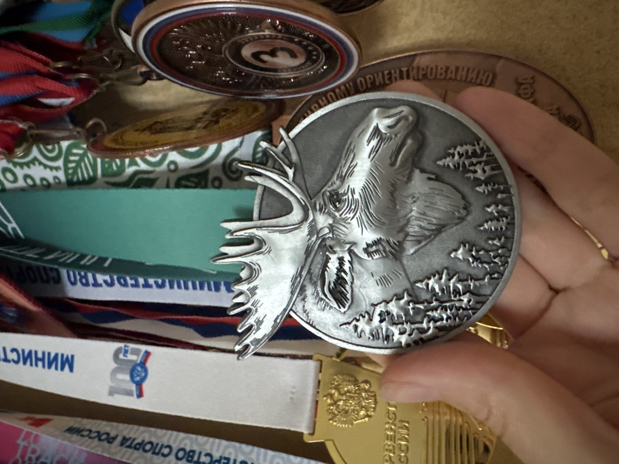 A hand is holding a silver medal with an embossed image of a moose and pine trees. The medal is circular and appears to be made of metal. In the background, there are several other medals and ribbons, some of which are red, white, and blue. One ribbon has text that includes "МИНИСТЕРСТВО СПОРТА РОССИИ" and a logo. Another medal in the background is bronze colored and has the number "3" on it. The overall scene suggests a collection of awards or souvenirs. There is no indication of the city of Sinyavino, Russia in the image.