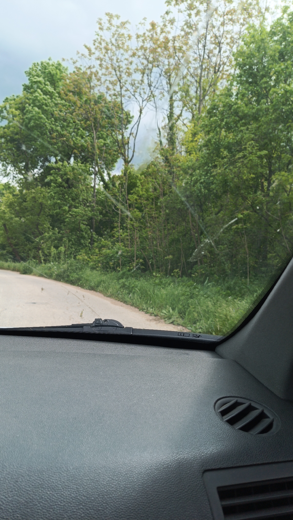 The view from inside a car, looking out through the windshield. A gray dashboard is visible with a circular air vent. A windshield wiper is positioned in the middle of the frame. Outside, a paved road curves to the left, lined with grass. Beyond the grass, a dense forest is visible, primarily consisting of green trees with some lighter foliage in the background. The sky is overcast. The location is near Gornoslav, Bulgaria, indicated by previous context.