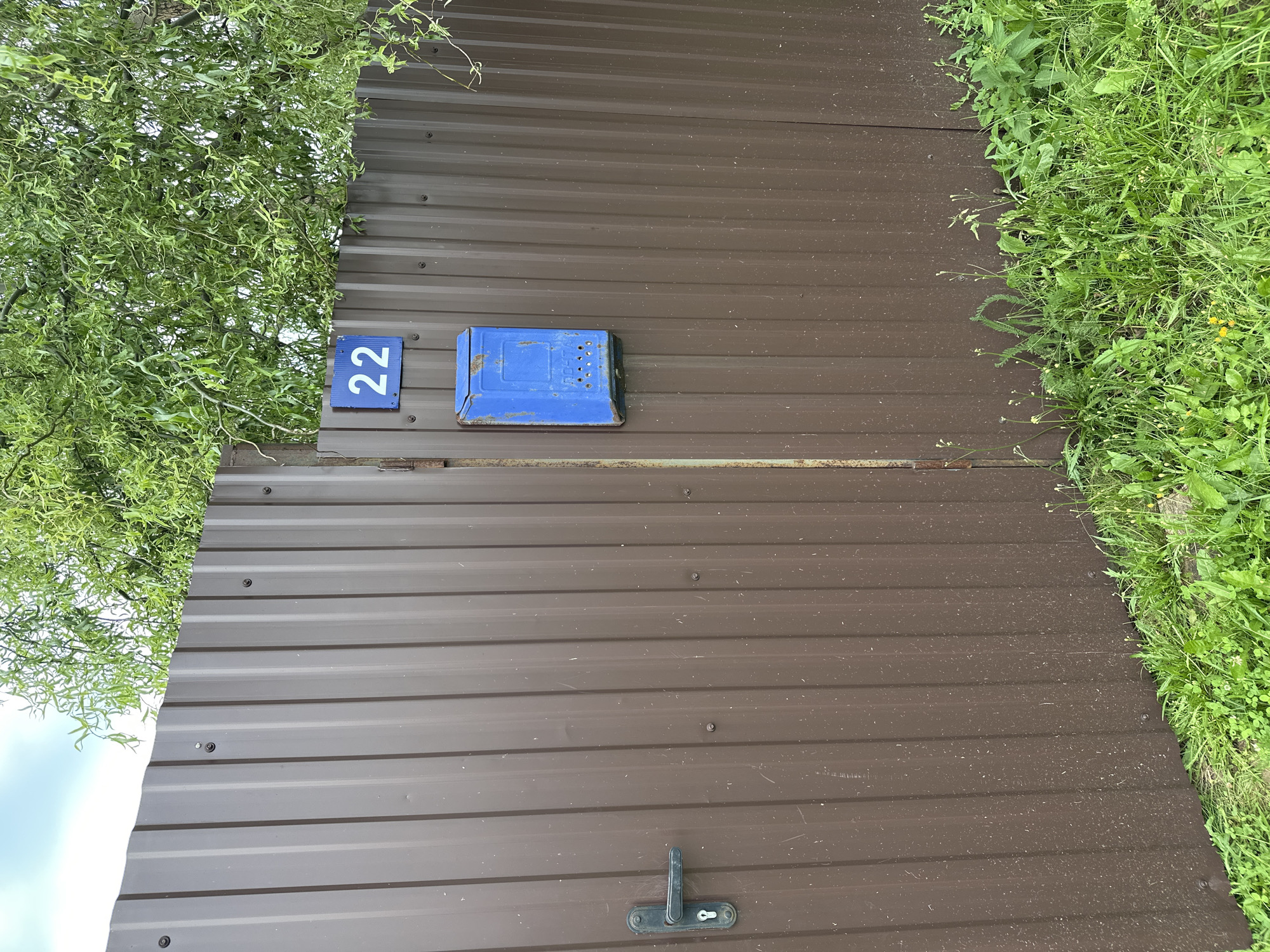 In the village of Sredneye Kechevo, Russia, a brown corrugated metal fence stands, partially obscured by lush green foliage from an overhanging tree. A dark green metal door handle is affixed to the left side of the fence. On the right side of the fence, a blue mailbox is mounted, with a blue square sign bearing the white numeral "22" above it. The ground in front of the fence is covered with dense green grass and scattered wildflowers. The sky above is overcast with light clouds.